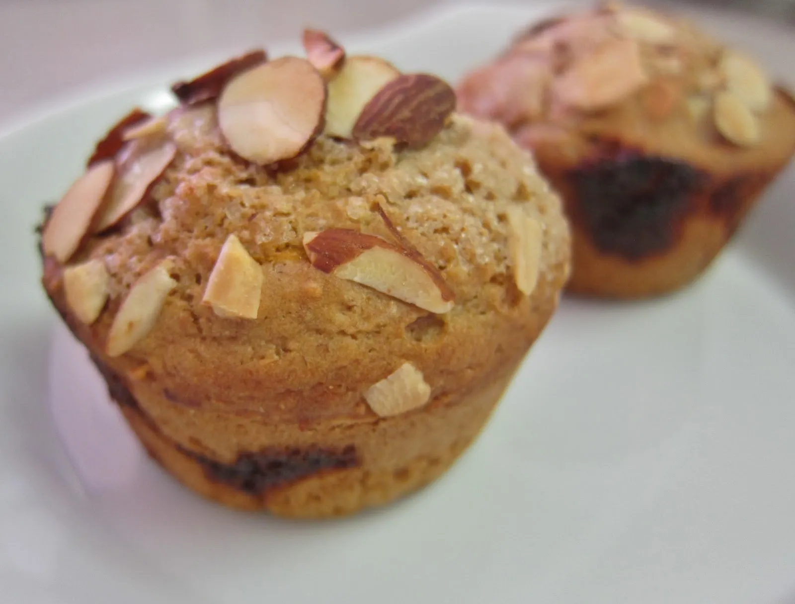 Apricot Almond Muffins or Scuffins Vegan Gluten Free and Sweet but Not Too Sweet