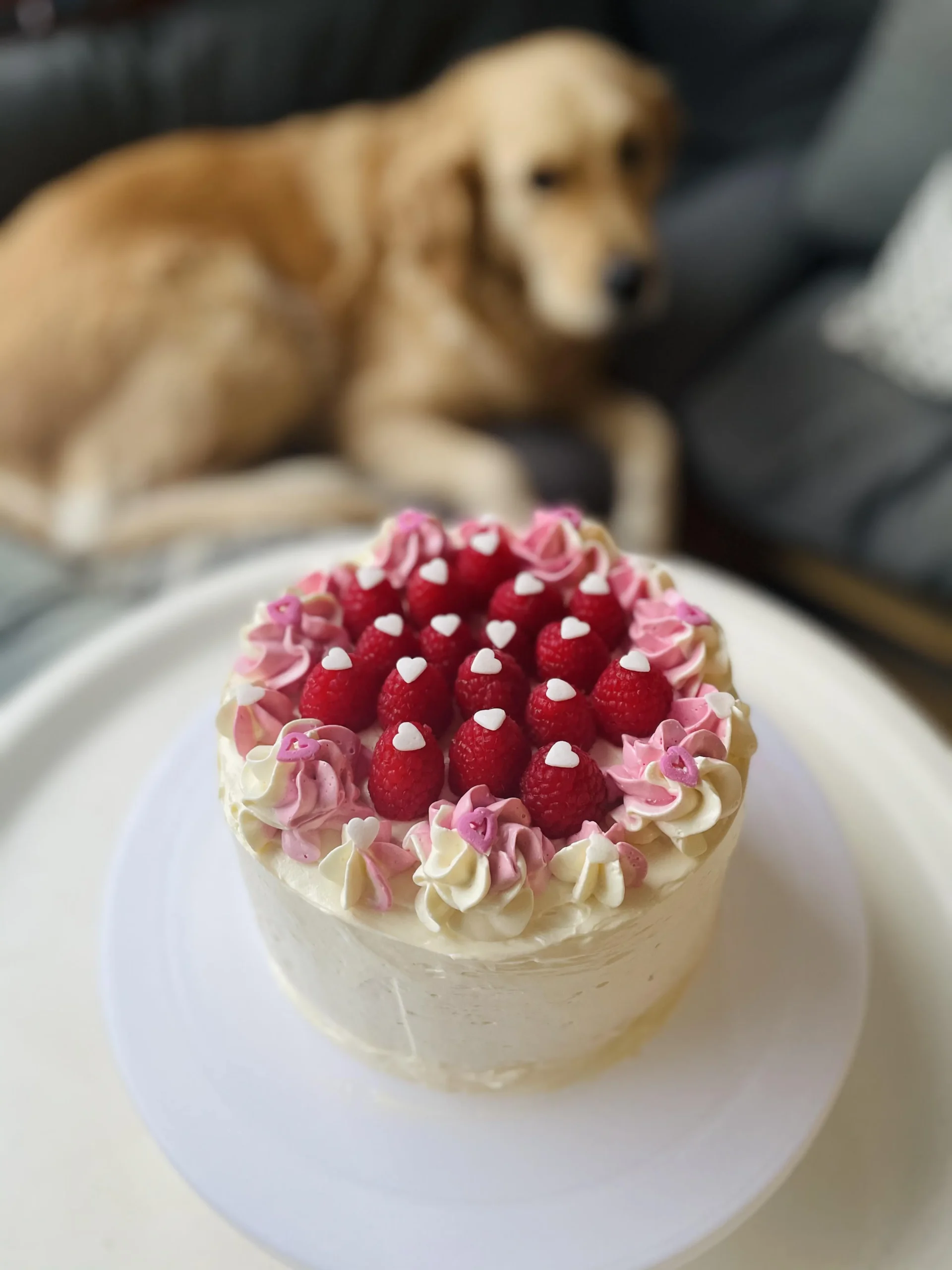 Baking White Chocolate Celebration Cake