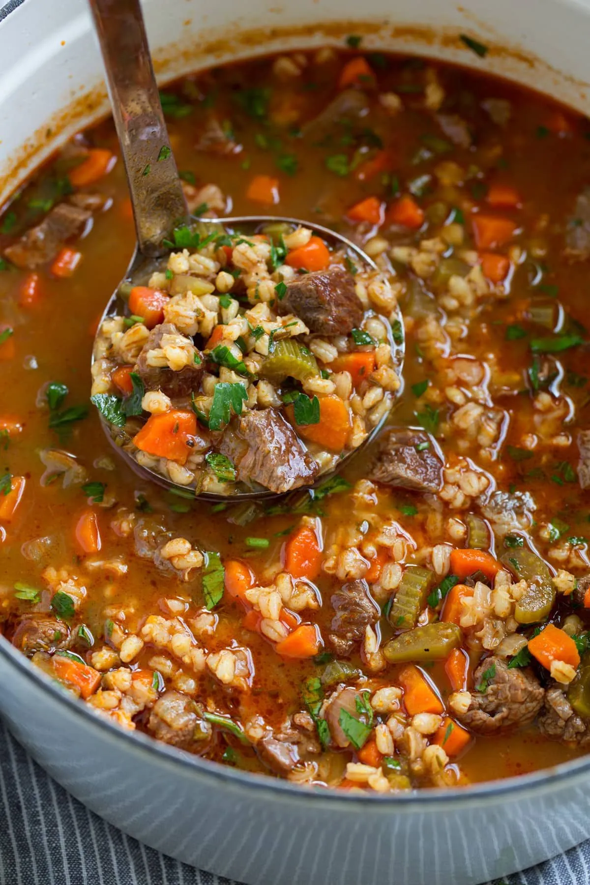 Beef Vegetable and Pearl Barley Soup