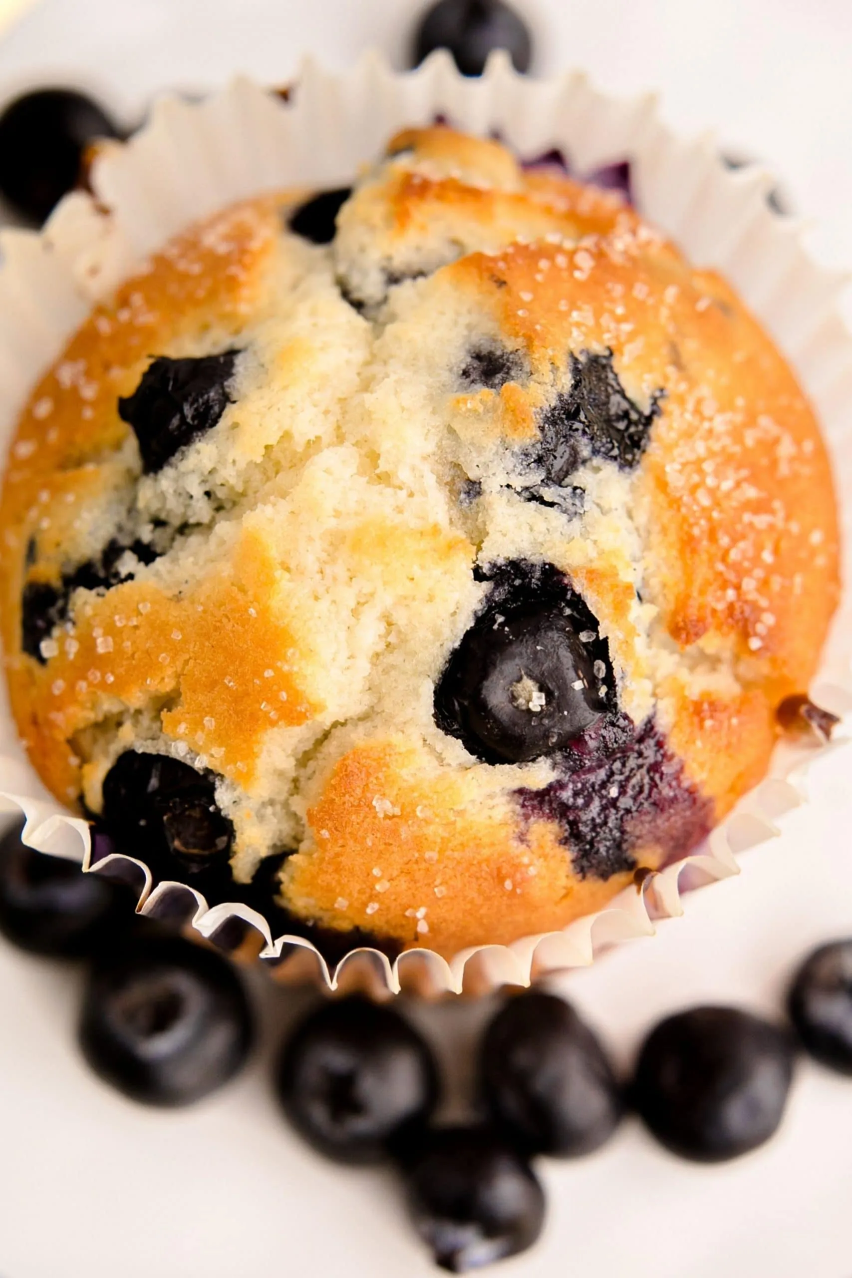 Blueberry Biscuit Muffins