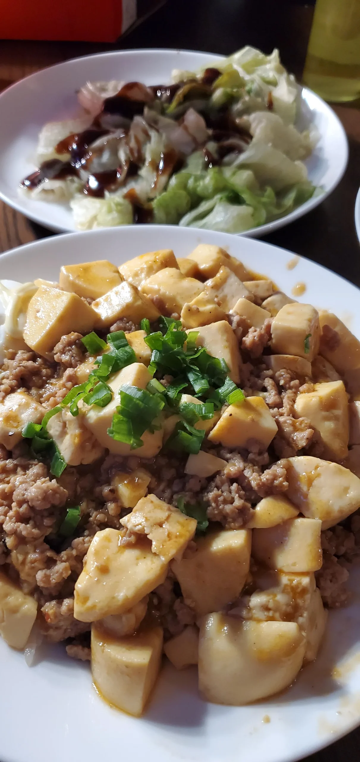 Cabbage and Tofu over Rice