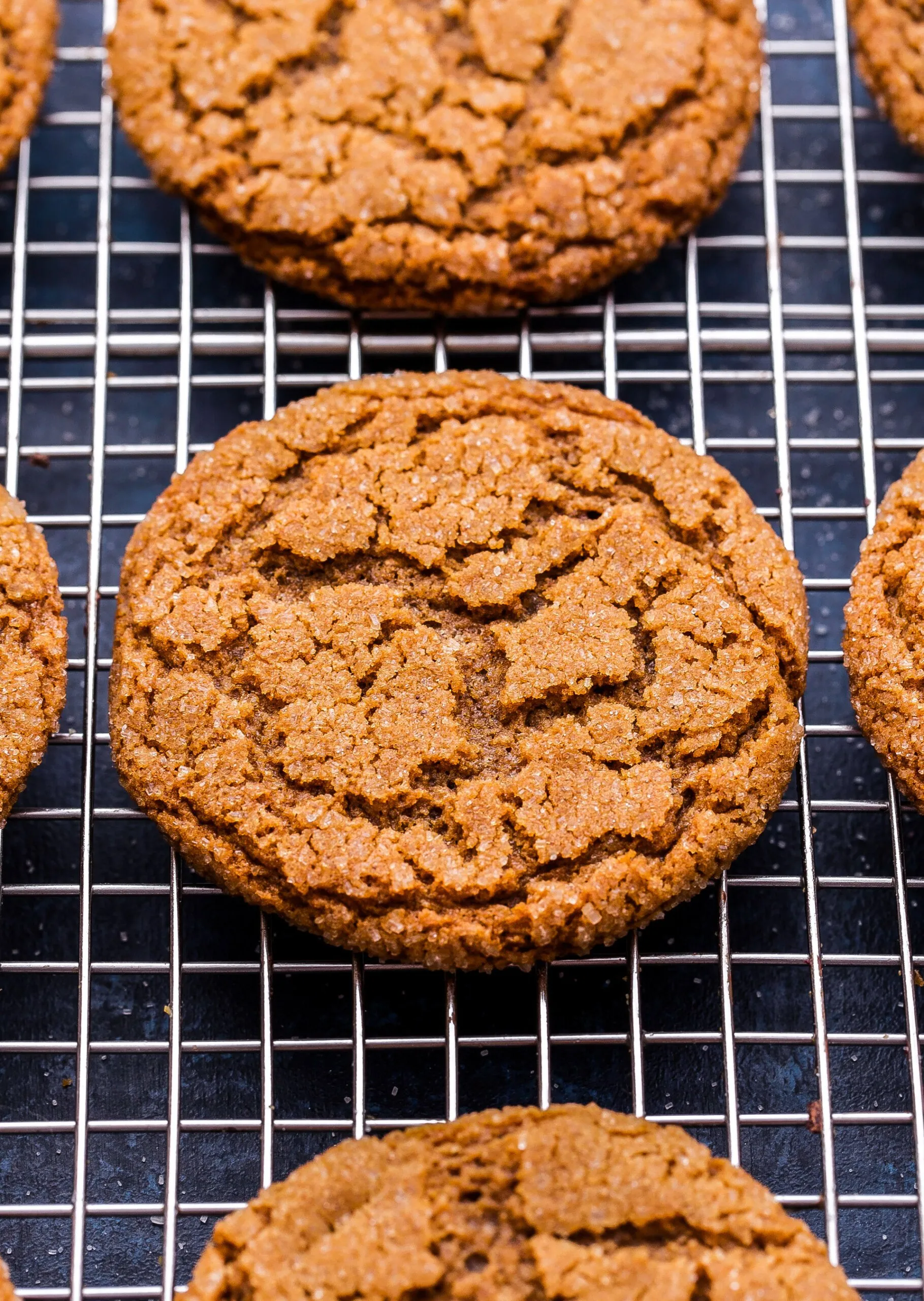Chewy Gingerbread Molasses Cookies with Dark Chocolate