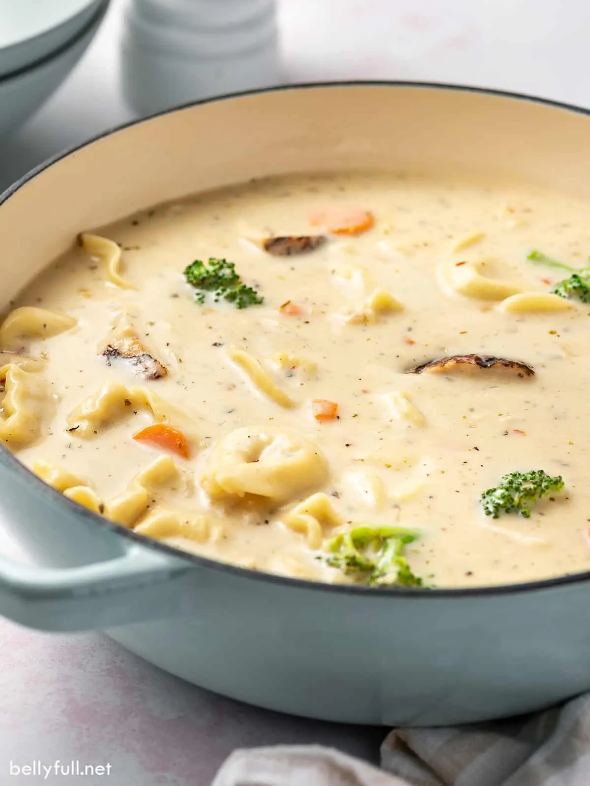 Chicken Alfredo Soup with Tortellini