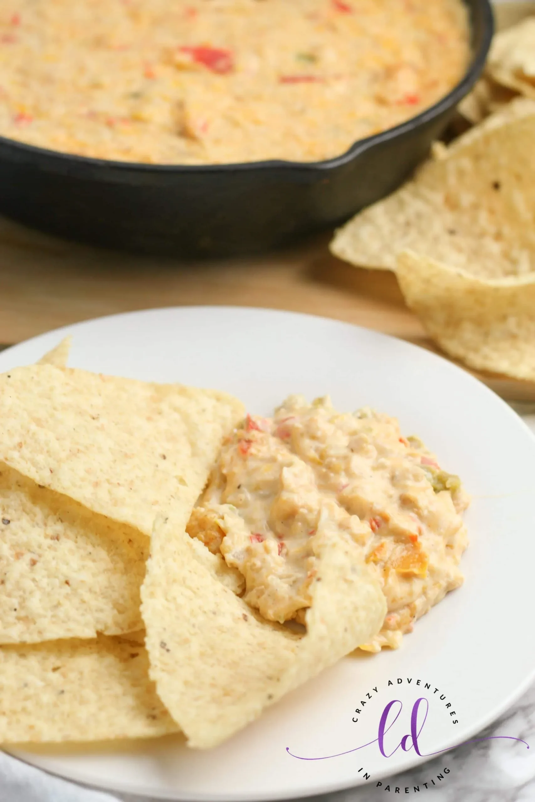 Chicken Fajita Queso Dip