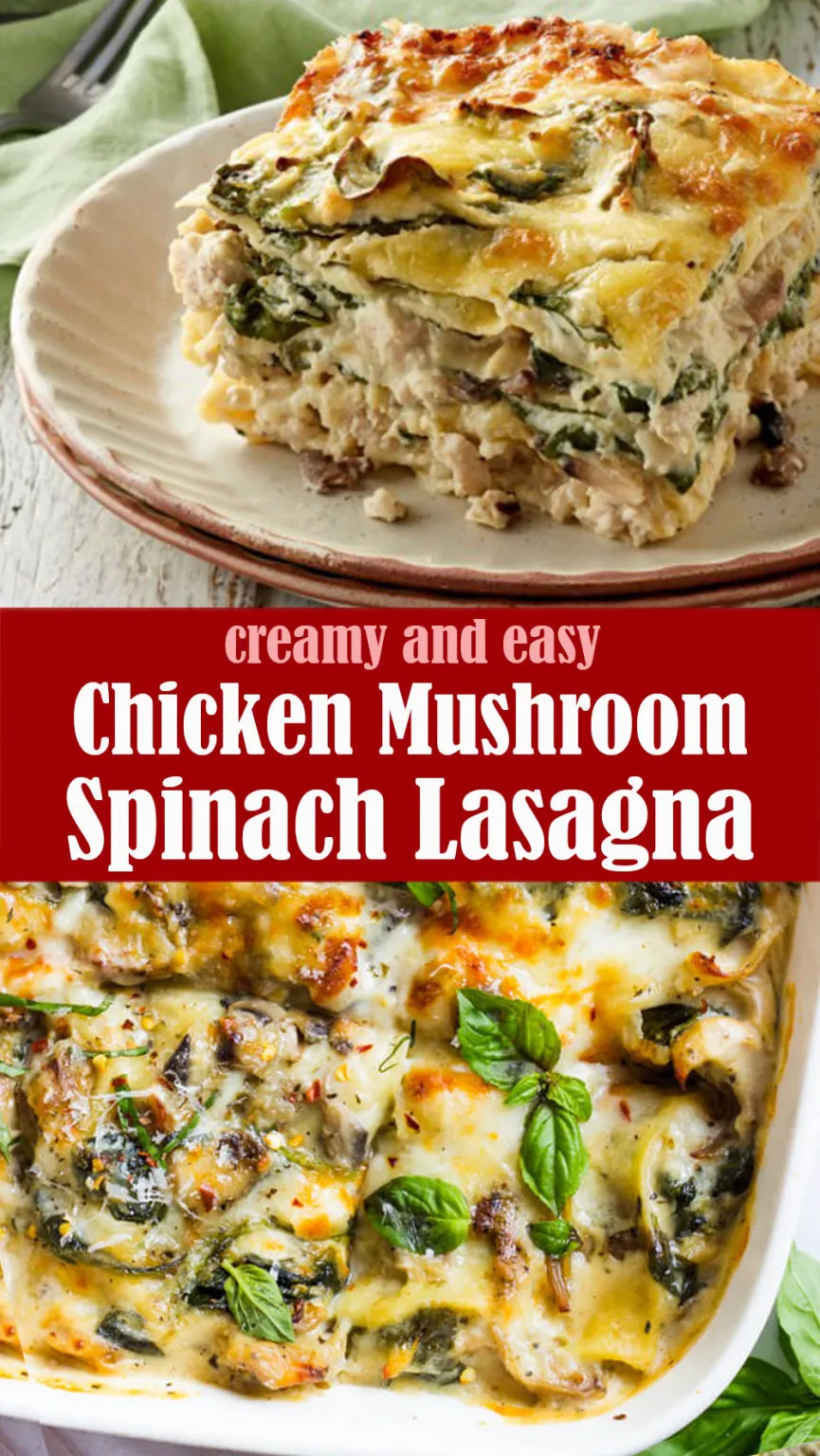 Chicken Mushroom Spinach Lasagna