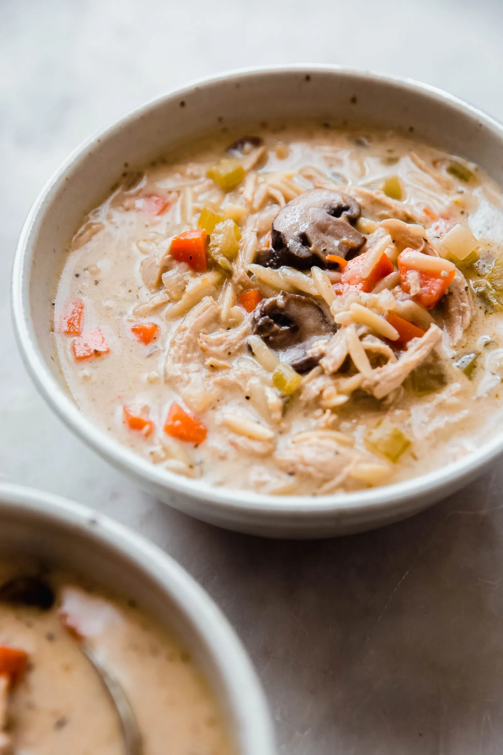 Chicken with Mushroom Soup