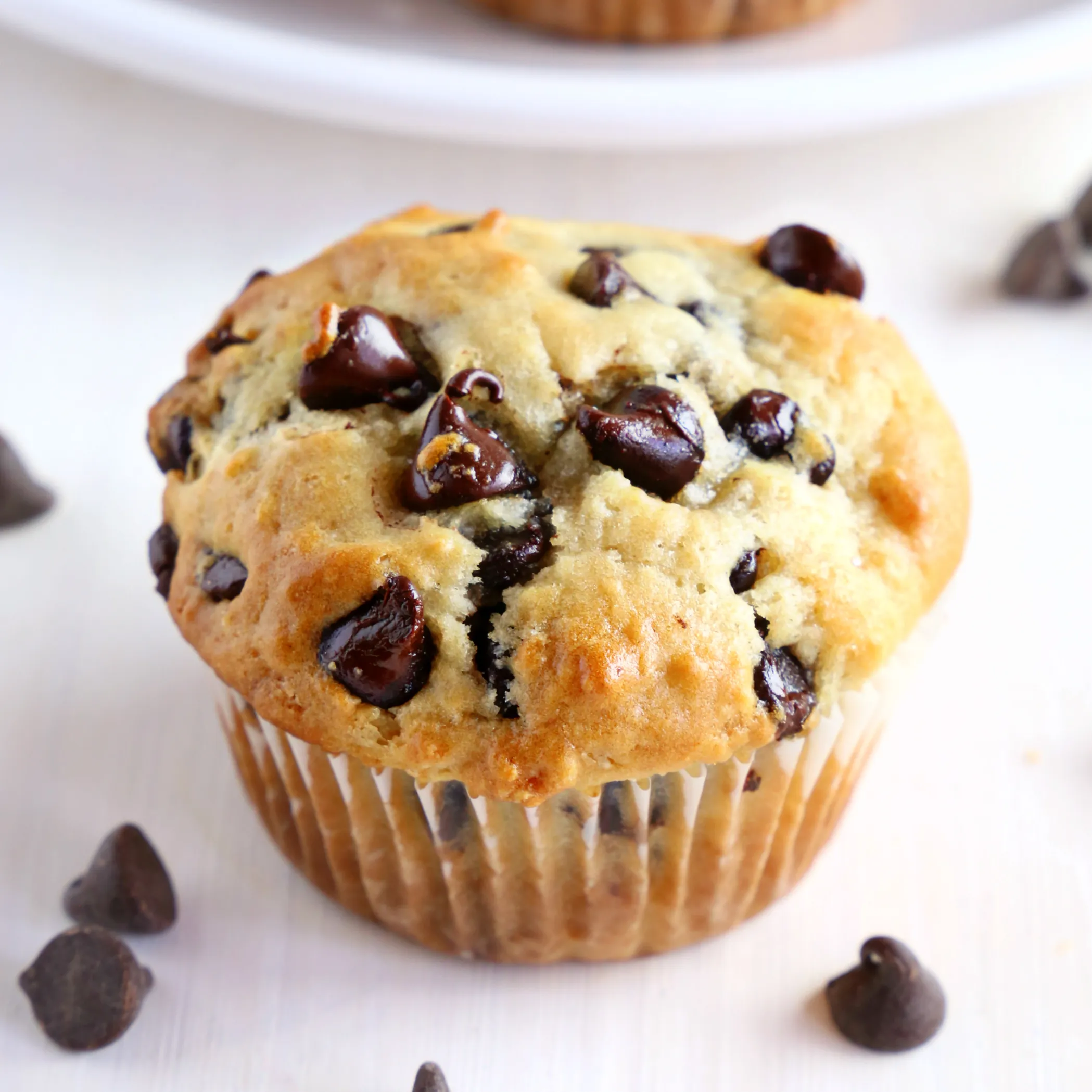 Chocolate Chocolate Chip Muffins