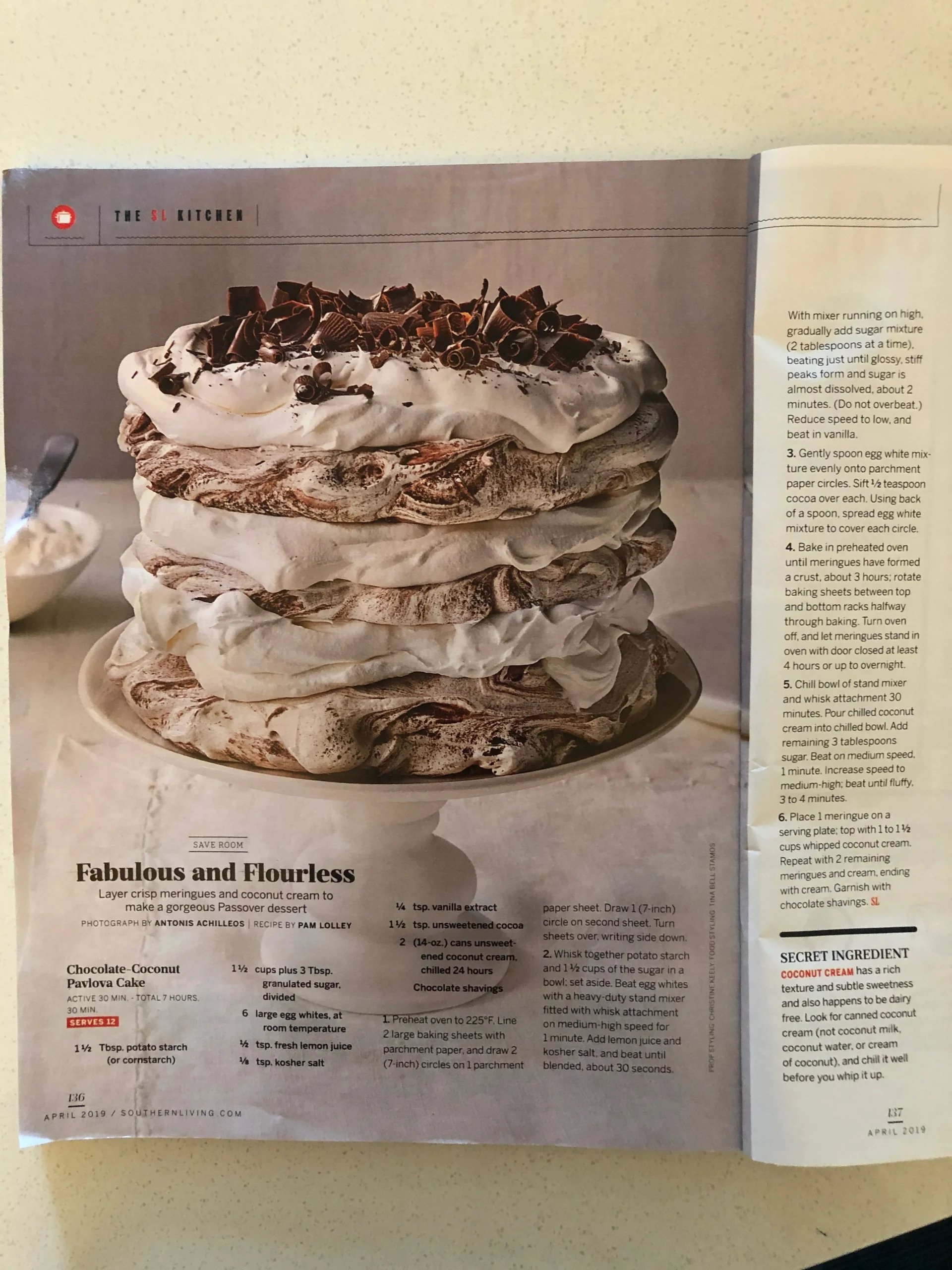 Chocolate Coconut Pavlova Cake