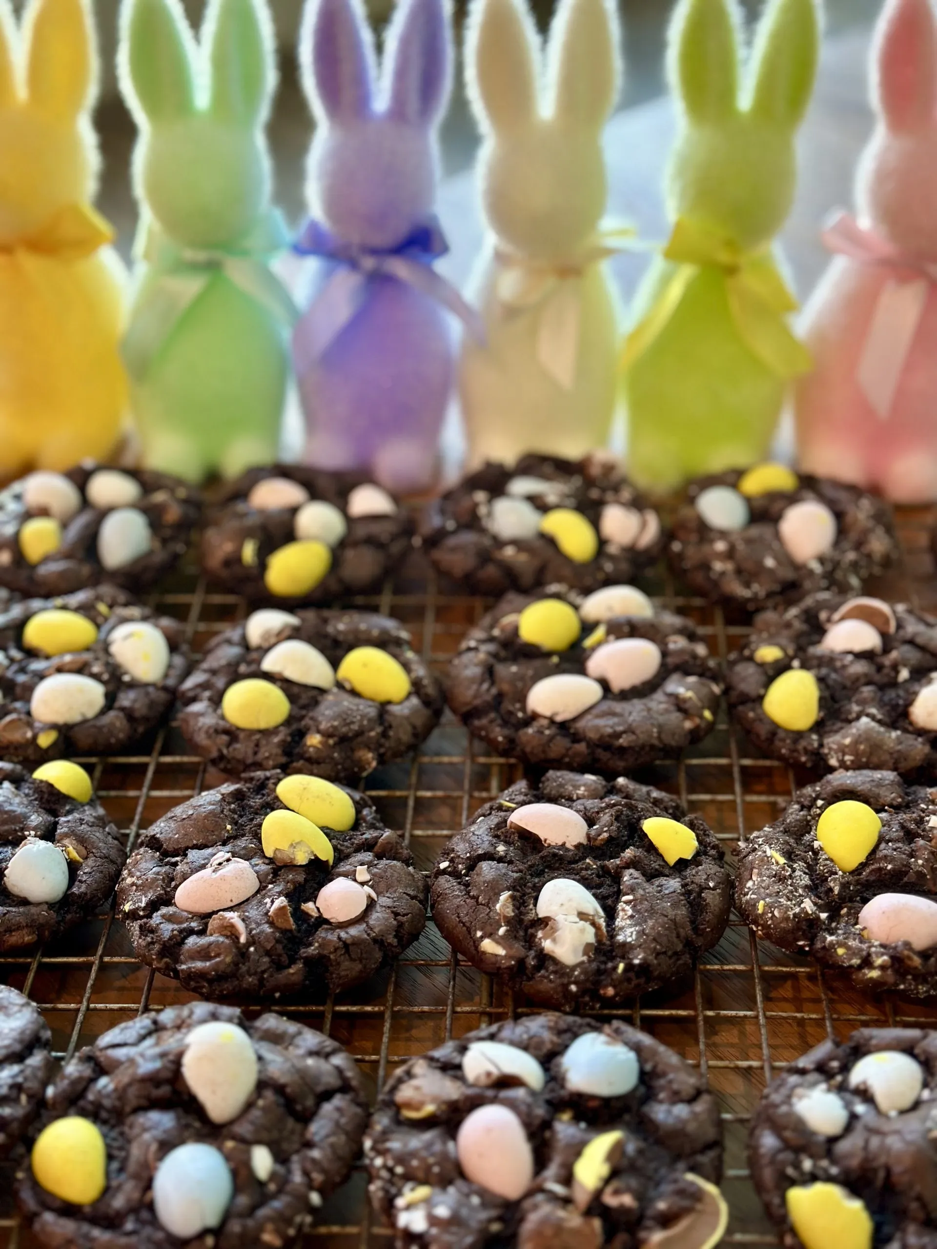Chocolate Easter Egg Cookies