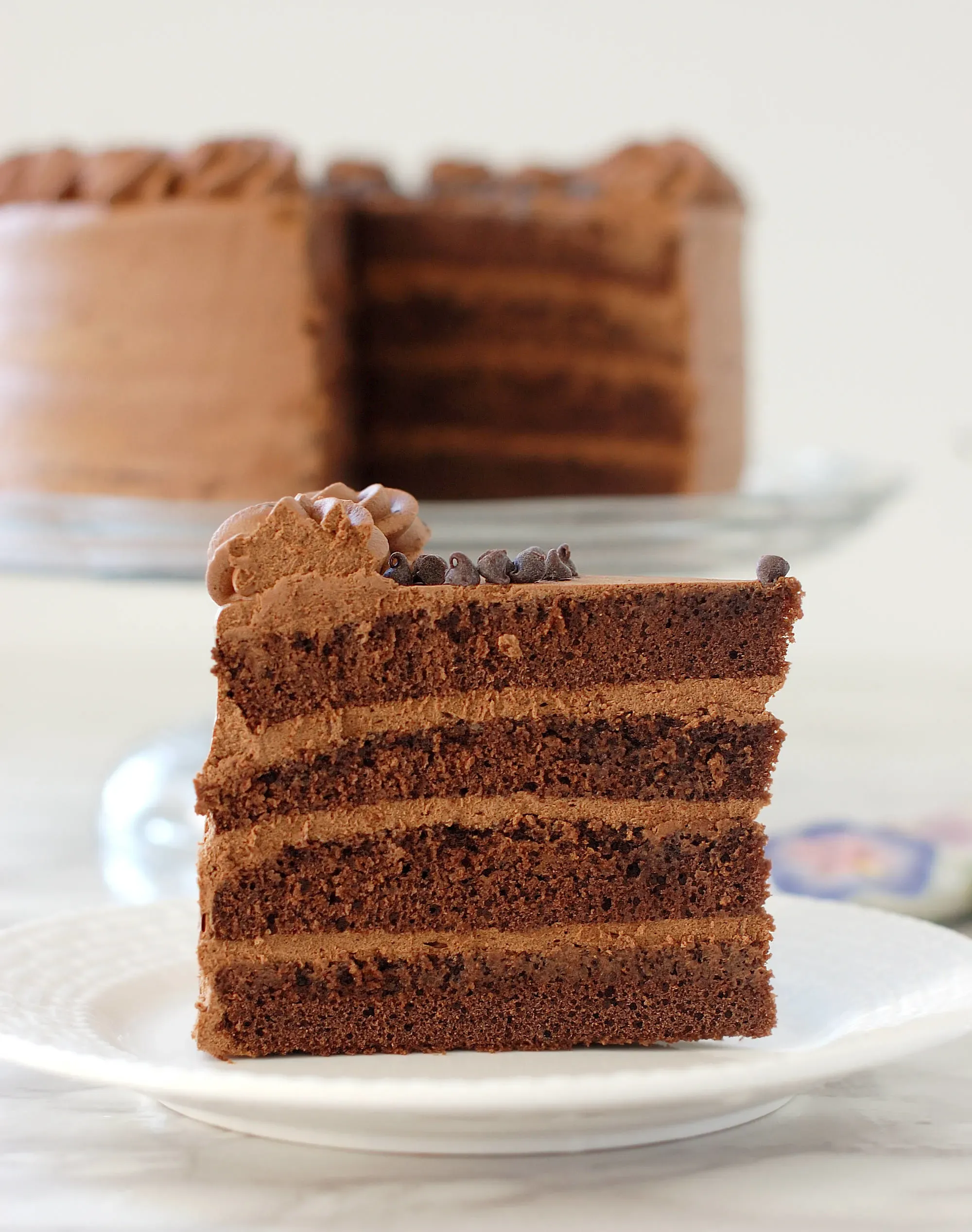 Chocolate Genoise Cake with Burnt Sugar Icing