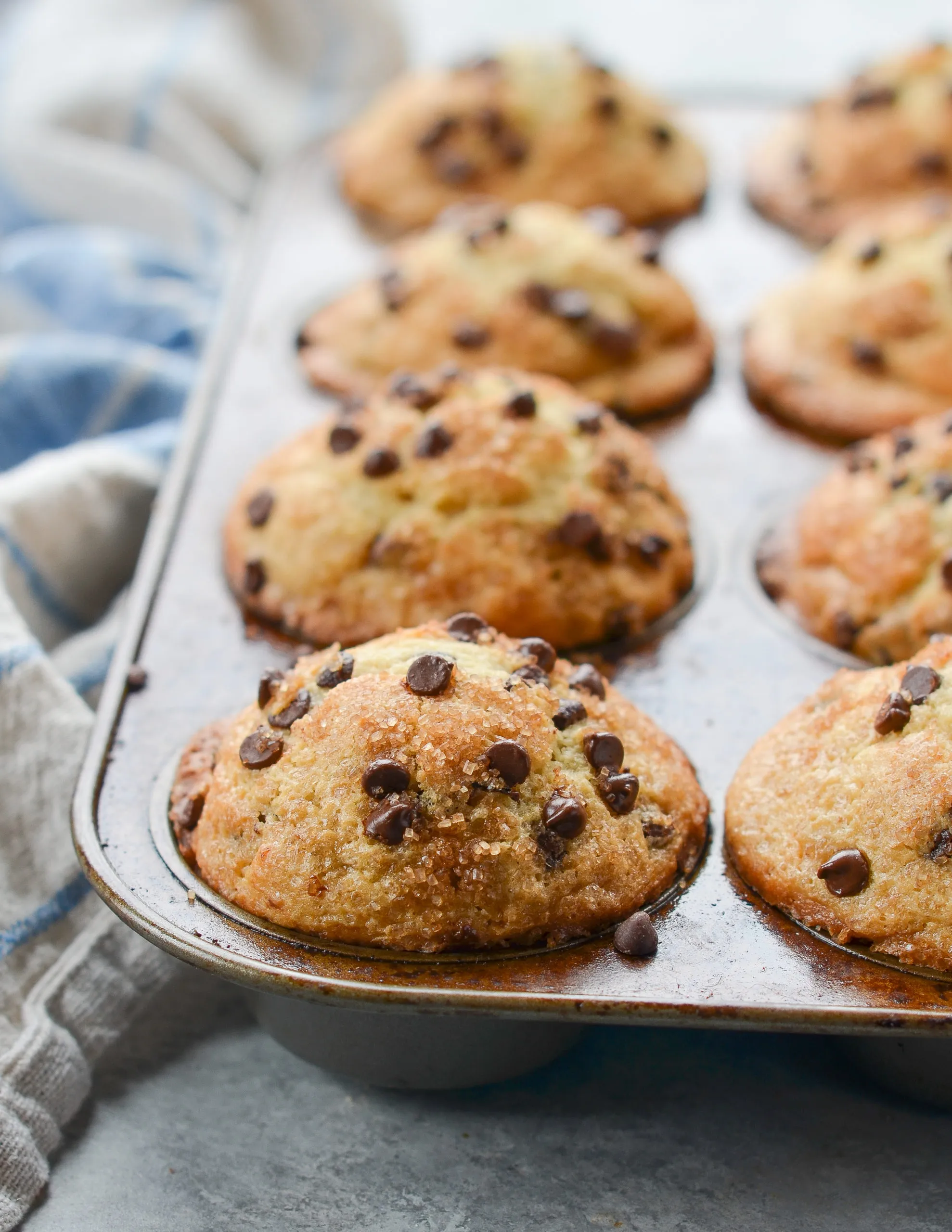 Classic Chocolate Chip Muffins