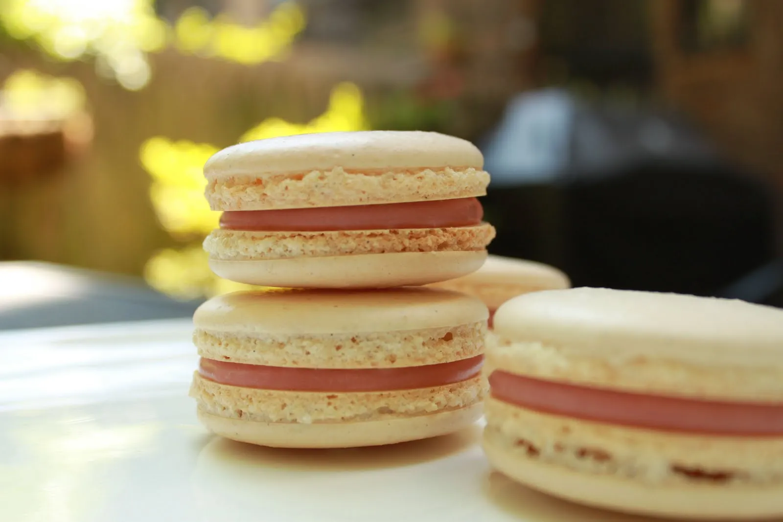 Coconut Macarons with White Chocolate Strawberry Ganache