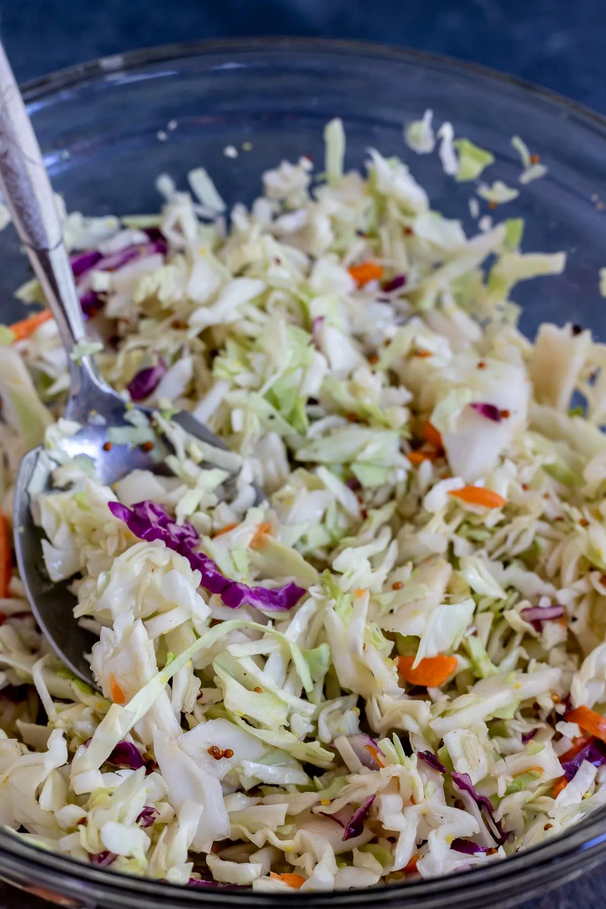 Cole Slaw Vinaigrette Dressing