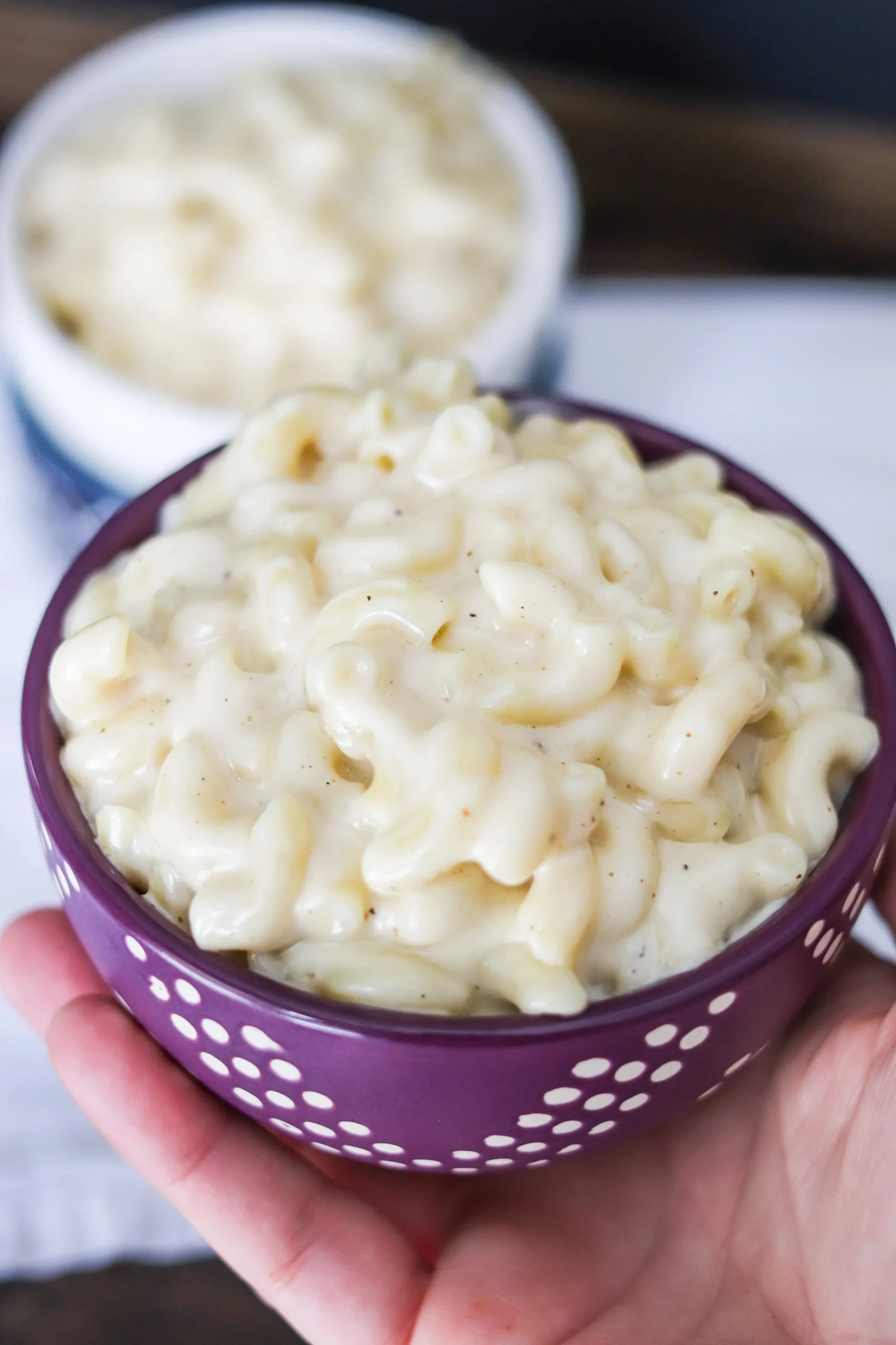 Copycat Panera Mac and Cheese