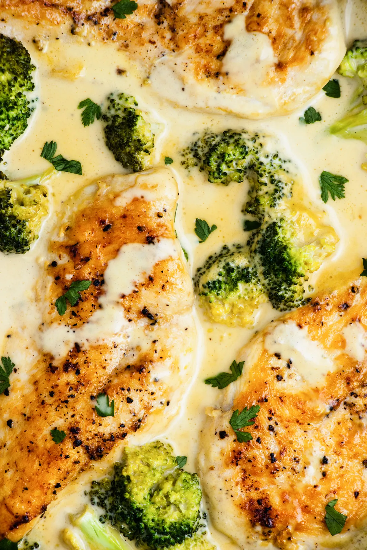 Creamy Honey Mustard Chicken Broccoli