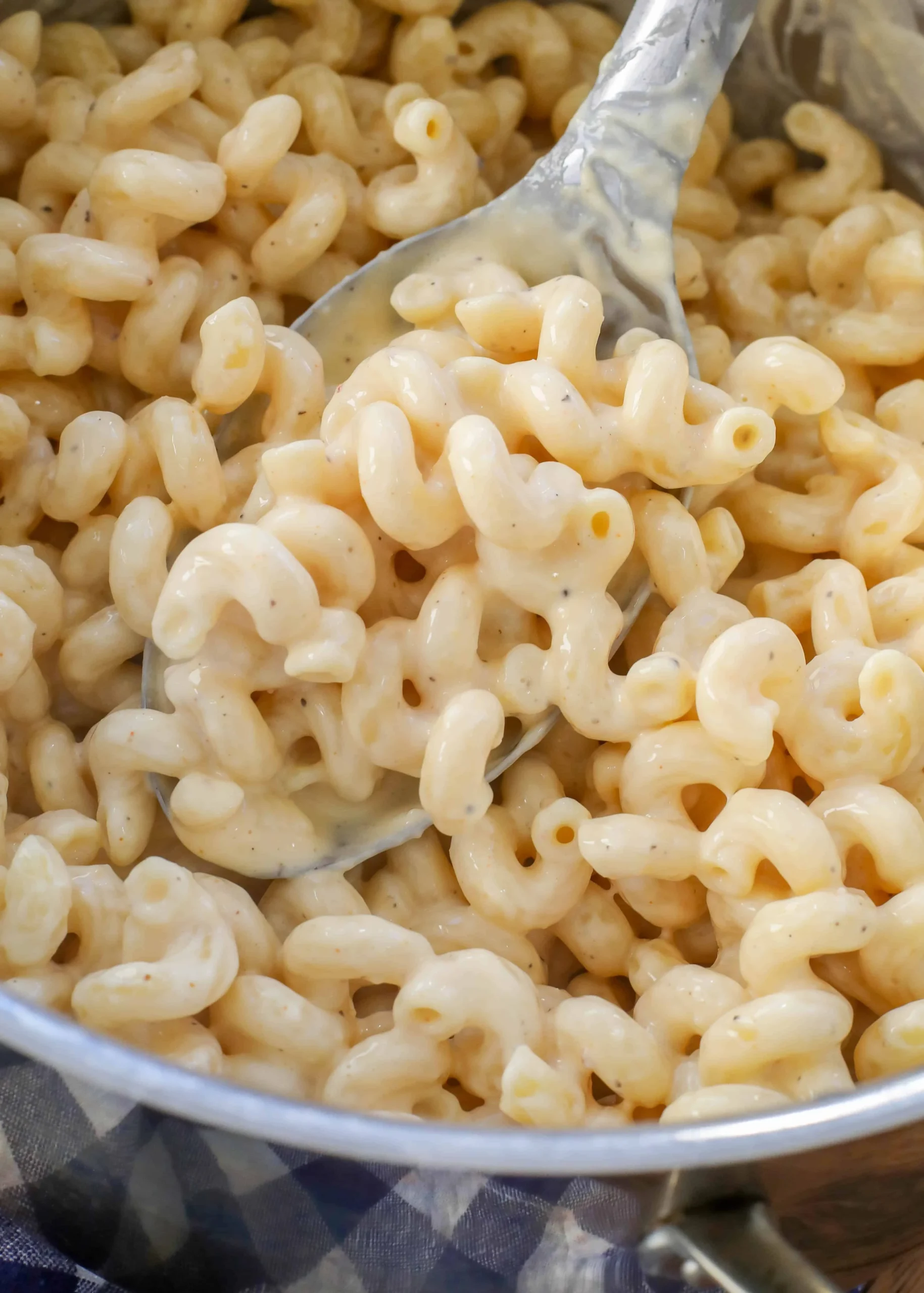 Creamy Stovetop Mac and Cheese