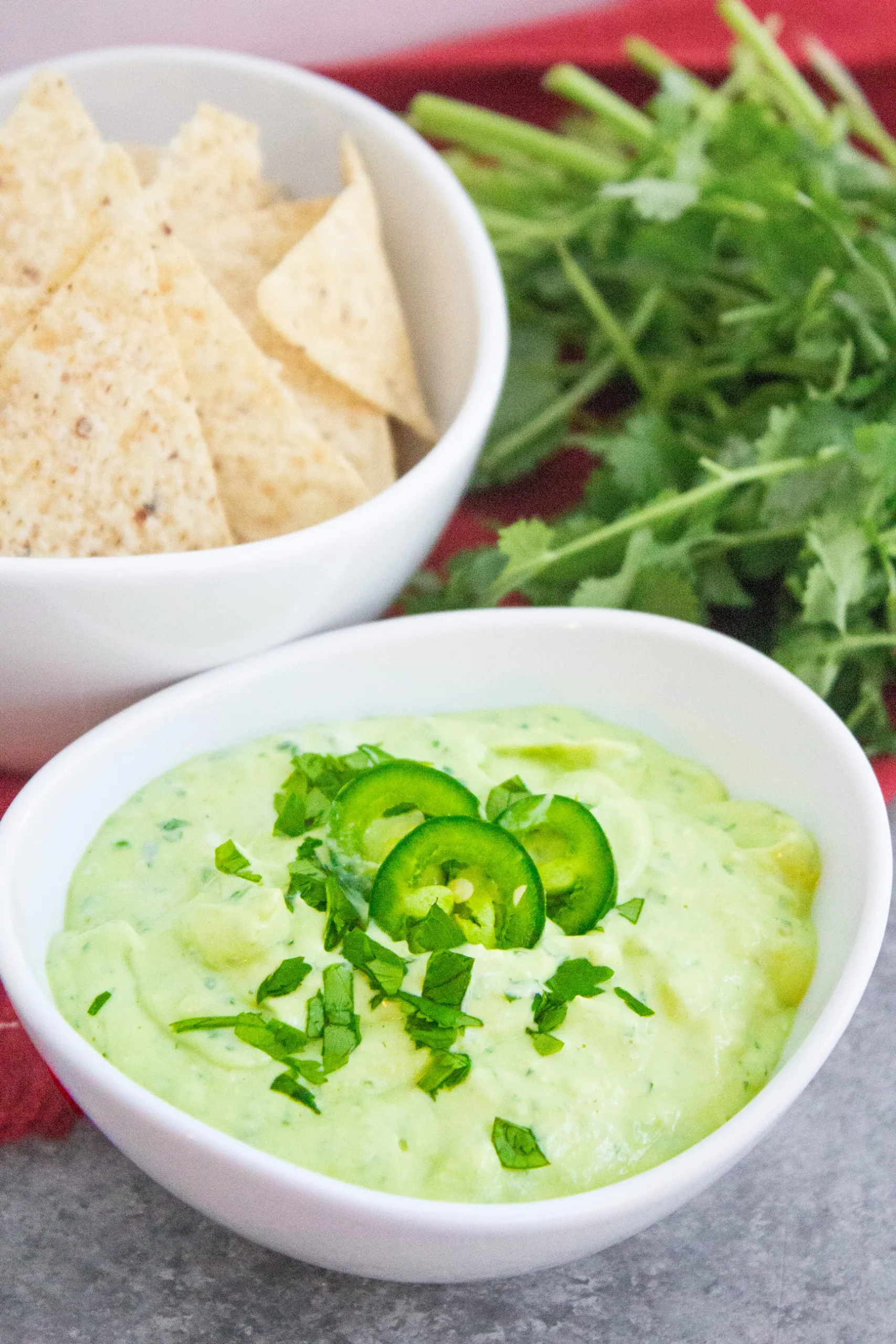 Creamy Vegetable Salsa Dip