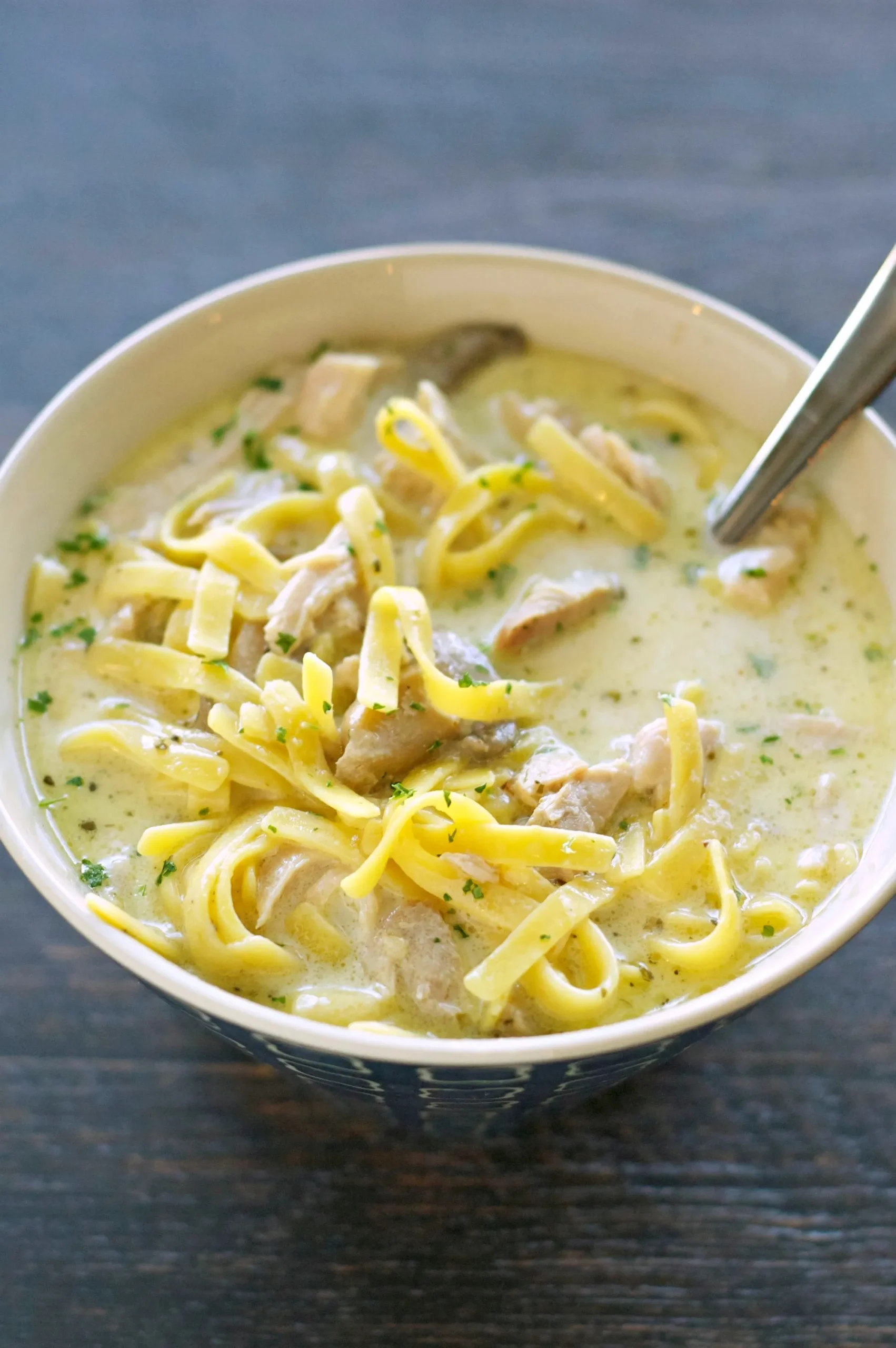 Crock Pot Creamy Chicken Noodle Soup