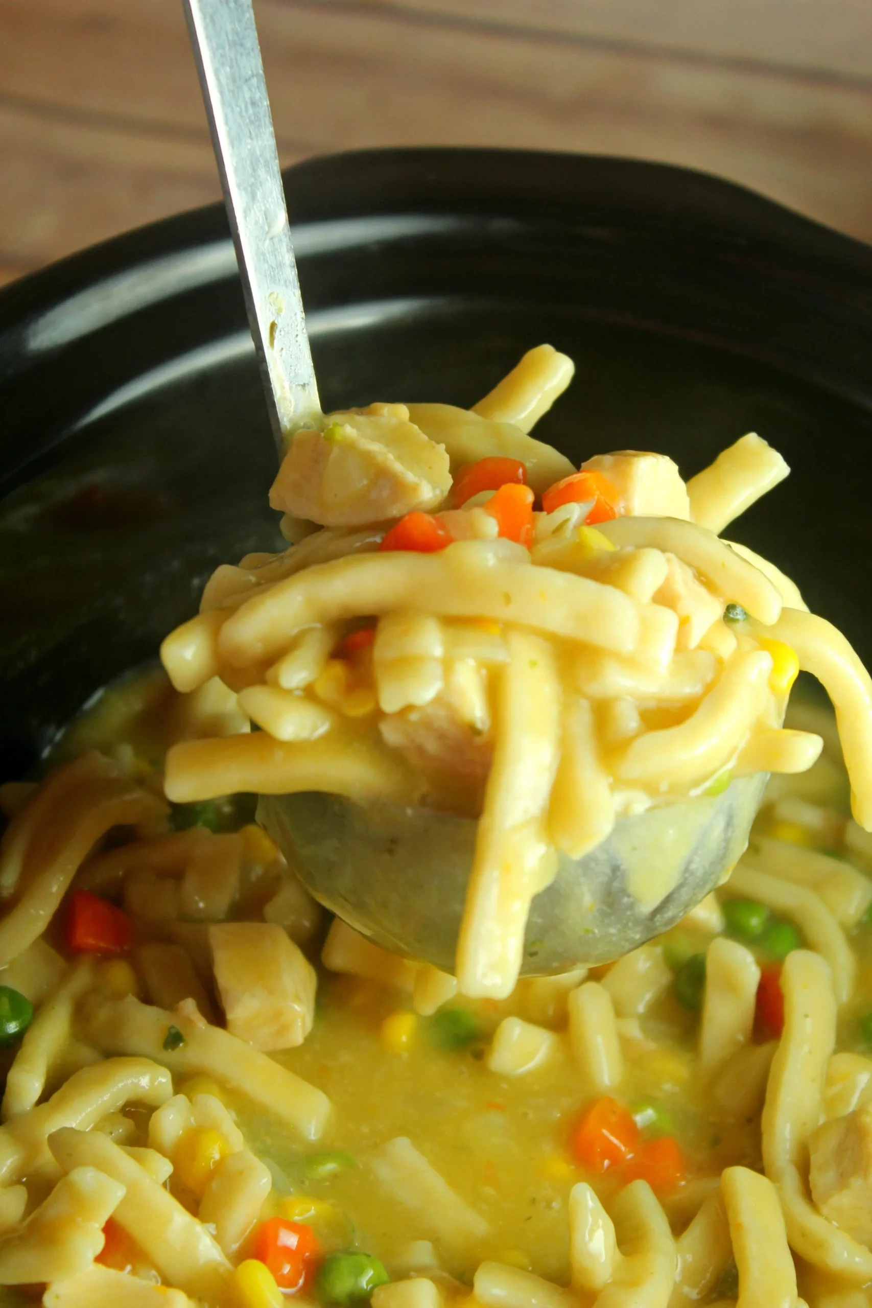 Crockpot Chicken Noodle Soup