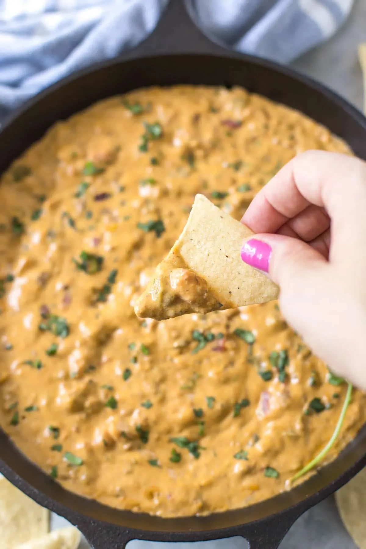 Dairy Free Chili Con Queso Dip