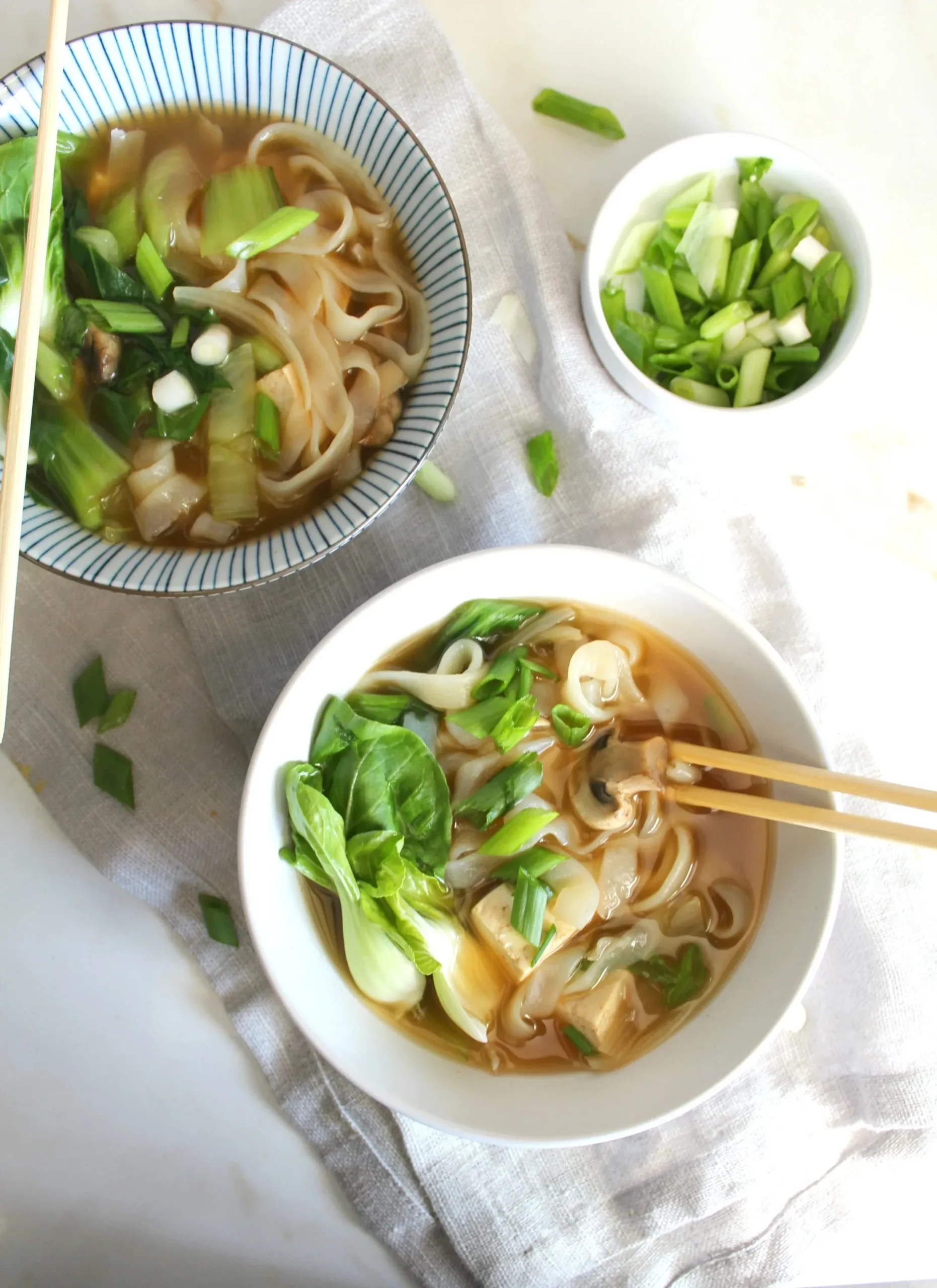 Easy Asian Spring Noodle Soup