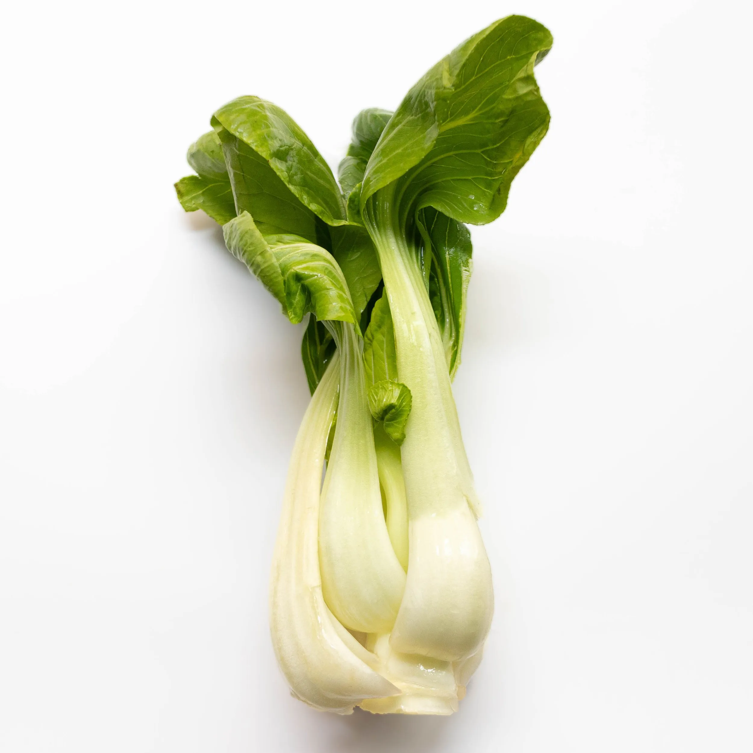 Easy Blanched Bok Choy