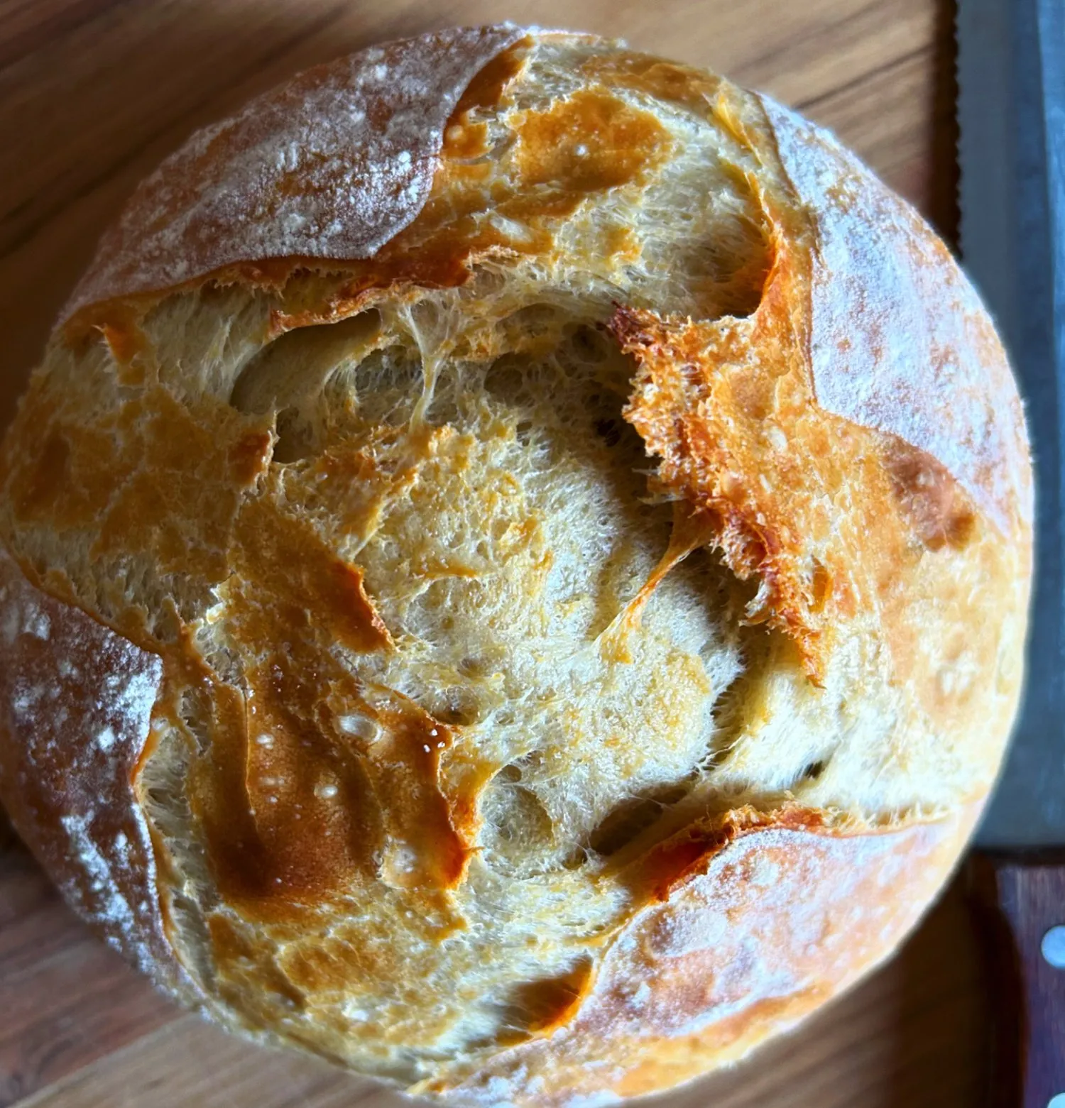 Easy No Knead Overnight Artisan Bread