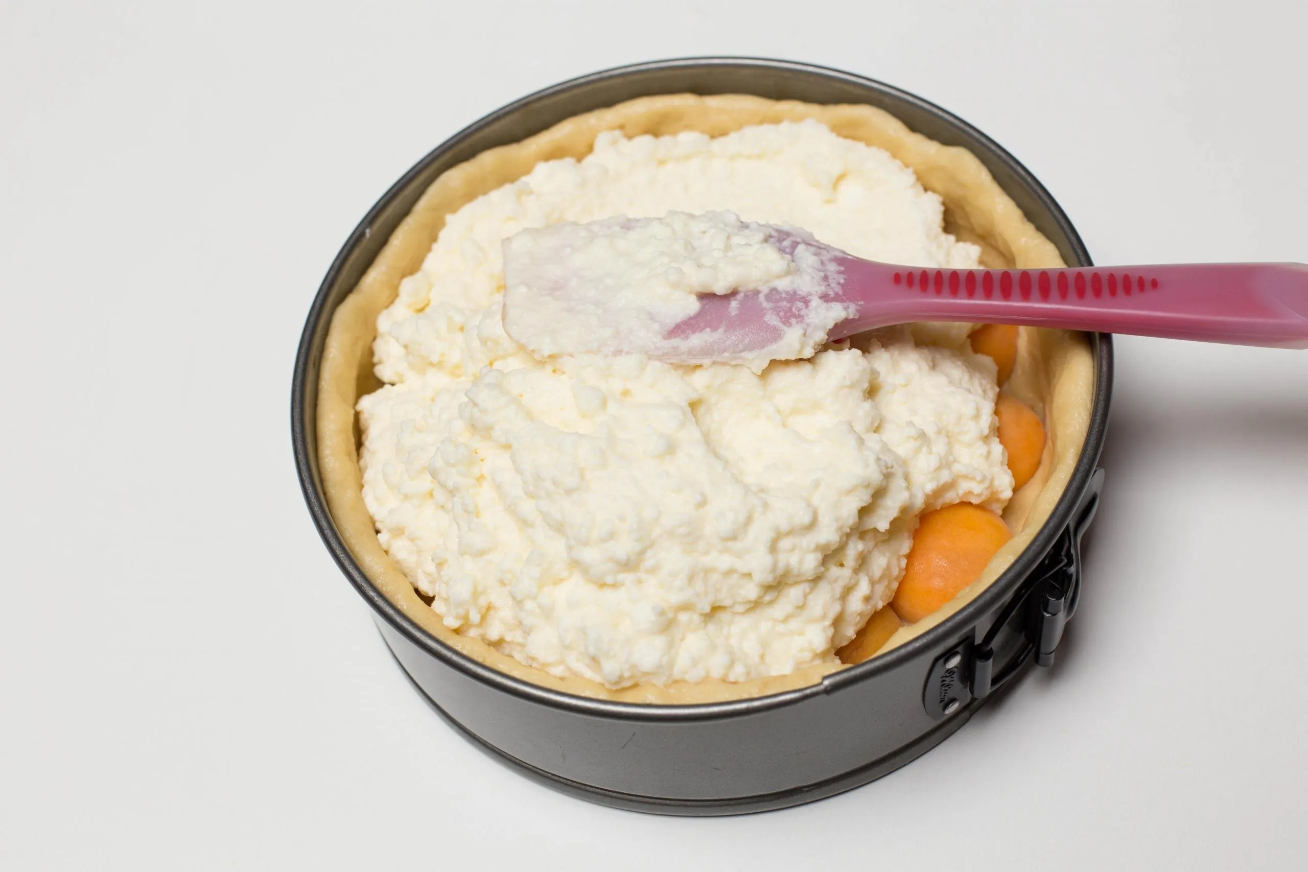 Farmer's Cheese with Apricot