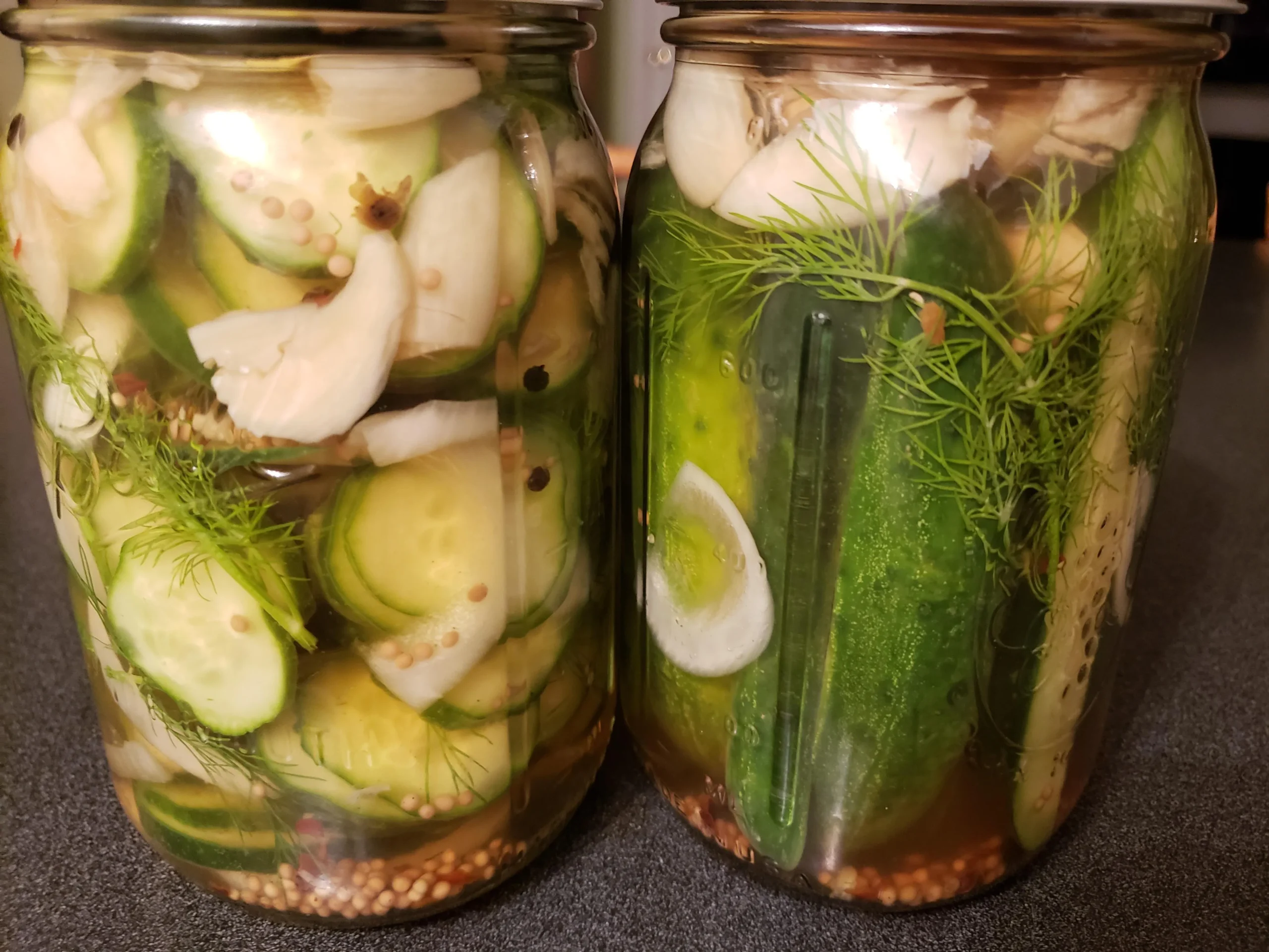 Fermented Dill Pickles from Sharmin Gamiet