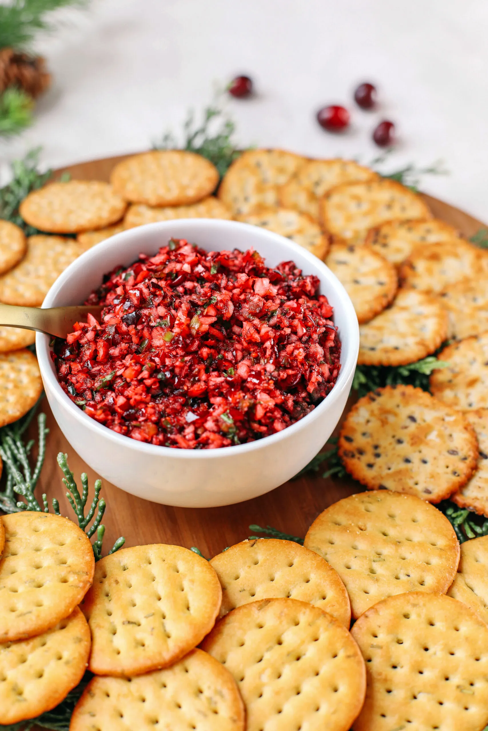 Festive Spicy Cranberry Salsa