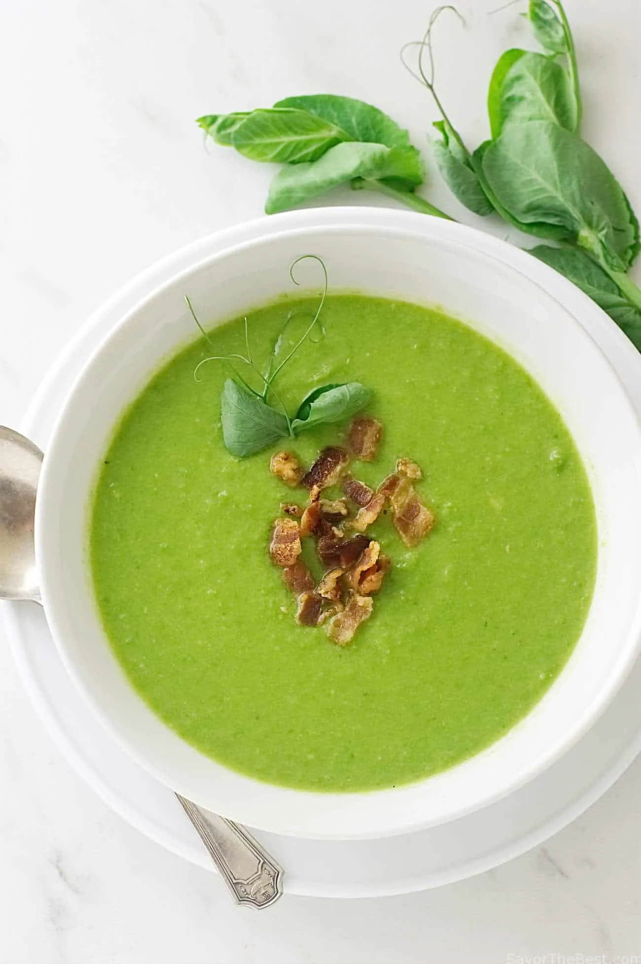 Fresh Pea Soup Potage Saint Germain