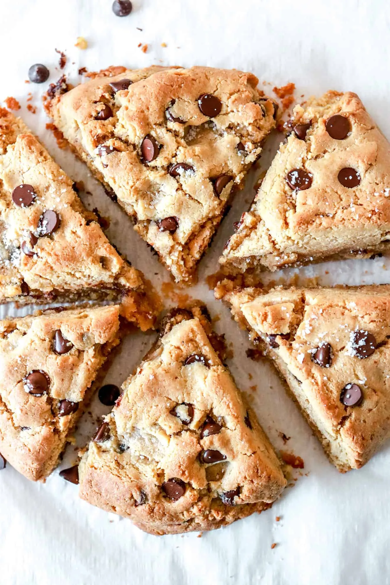 Gluten Free Eggnog Chocolate Chip Scones