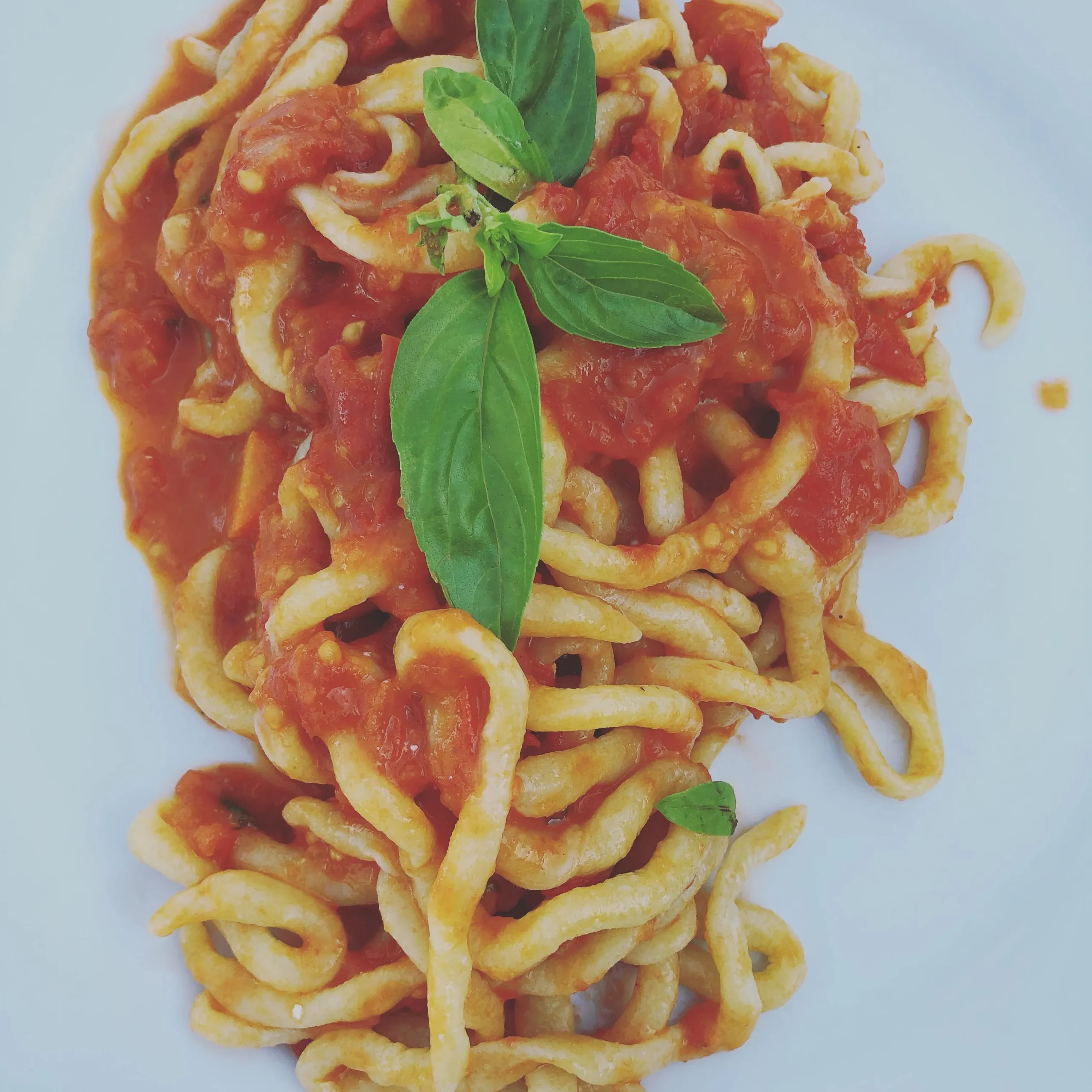 Gluten Free Pici Pasta