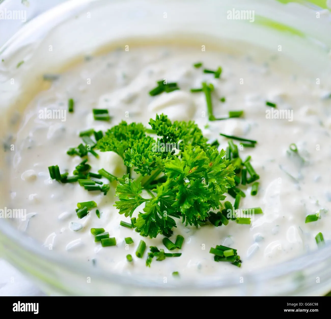 Greek Island Parsley Garlic Dip