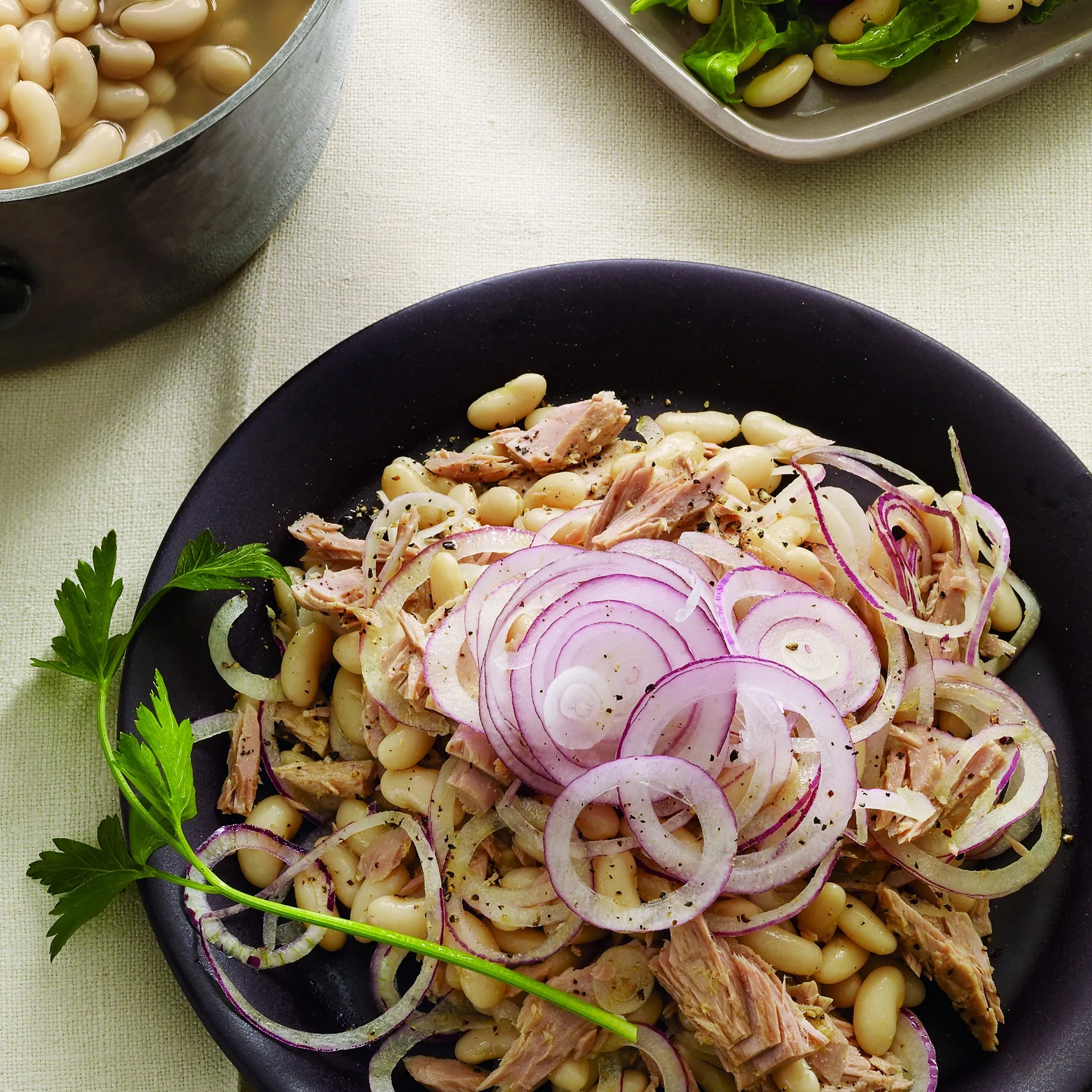 Grilled Tuna with White Bean Charred Onion Salad
