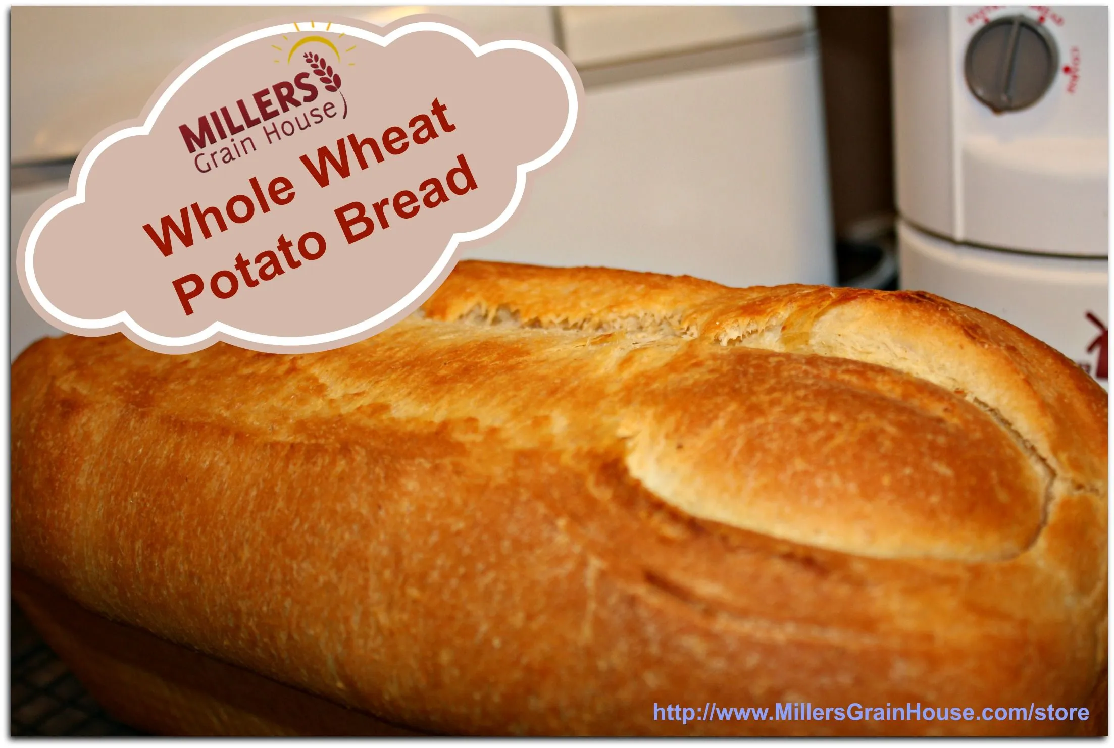 Hammond's Whole Wheat Potato Bread