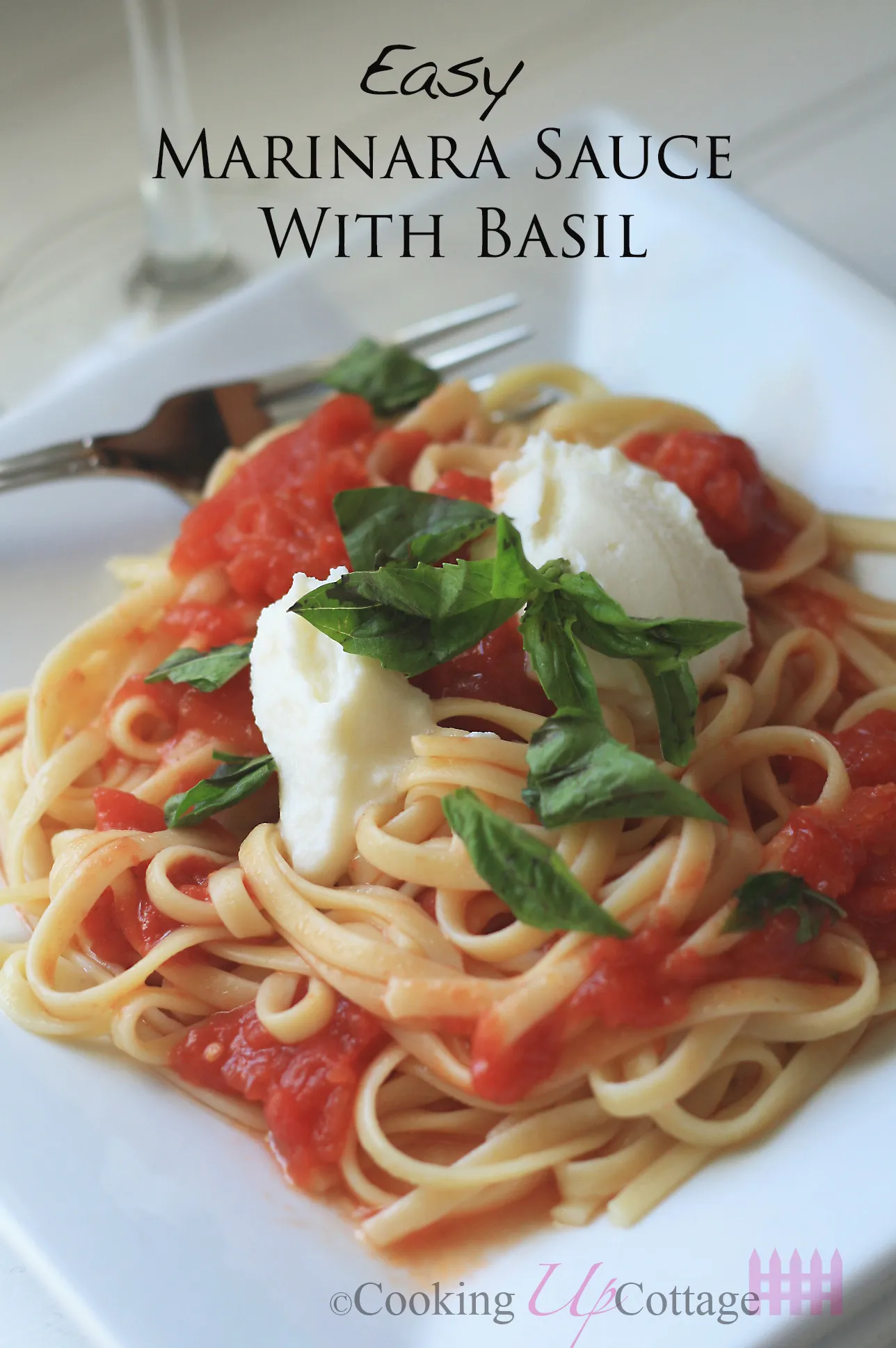 Homemade Marinara Sauce with Fresh Basil