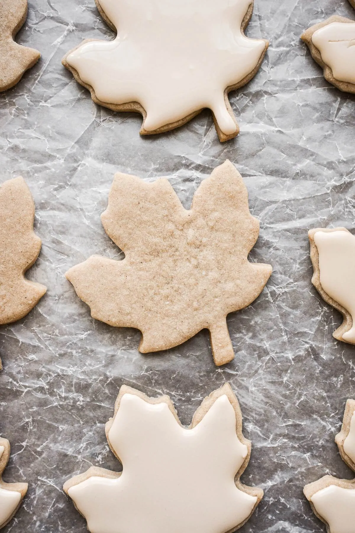 Iced Maple Leaf Sugar Cookies