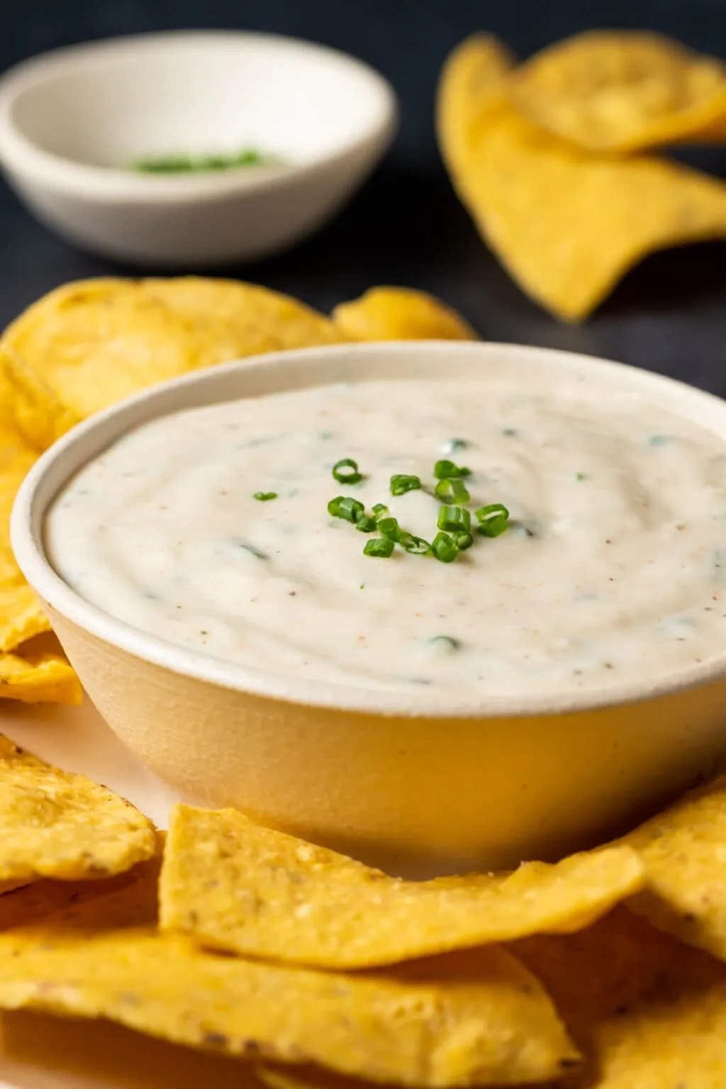 Kels Famous Garlic Dip