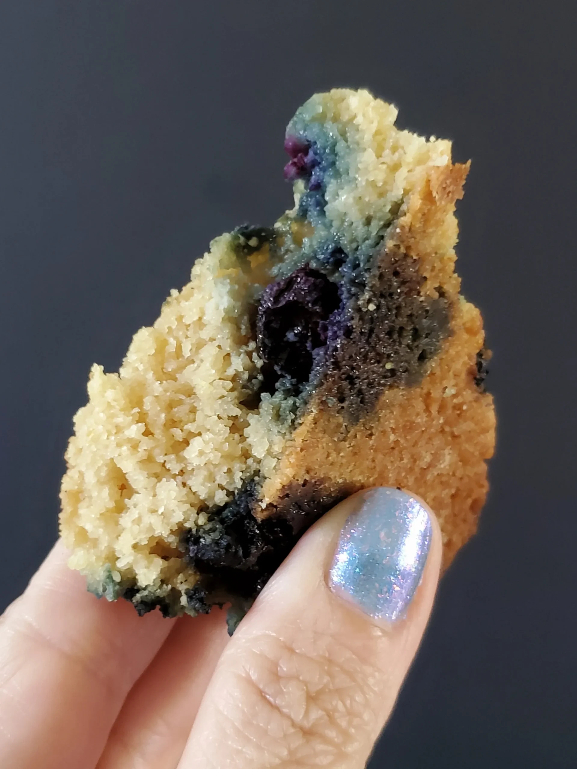 Keto Blueberry Lemon Cookies