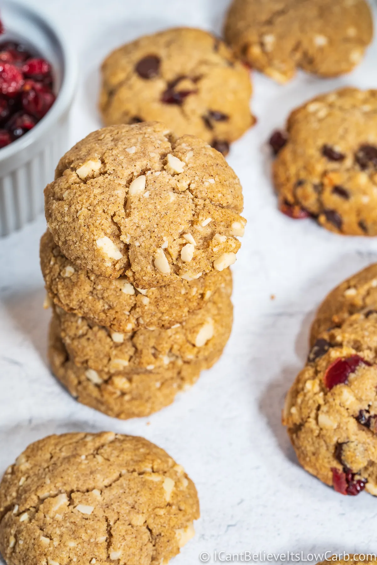 Keto Sugar Free Oatmeal Cookies