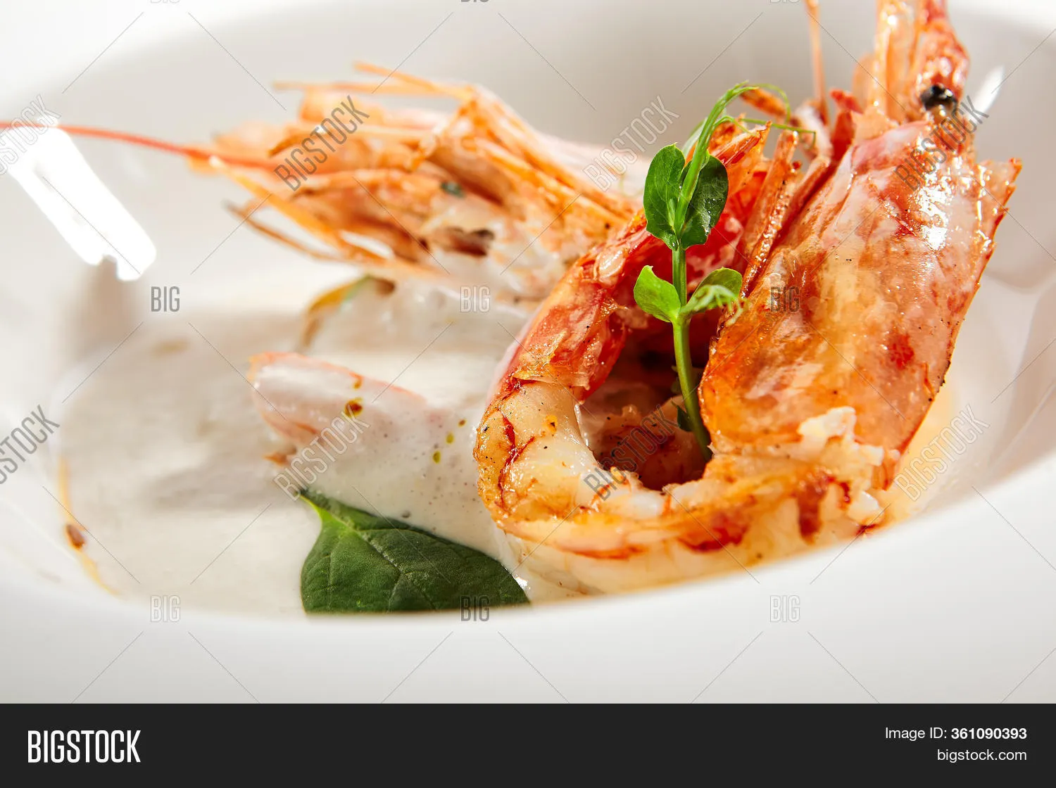 Langoustines with Herbed Cream