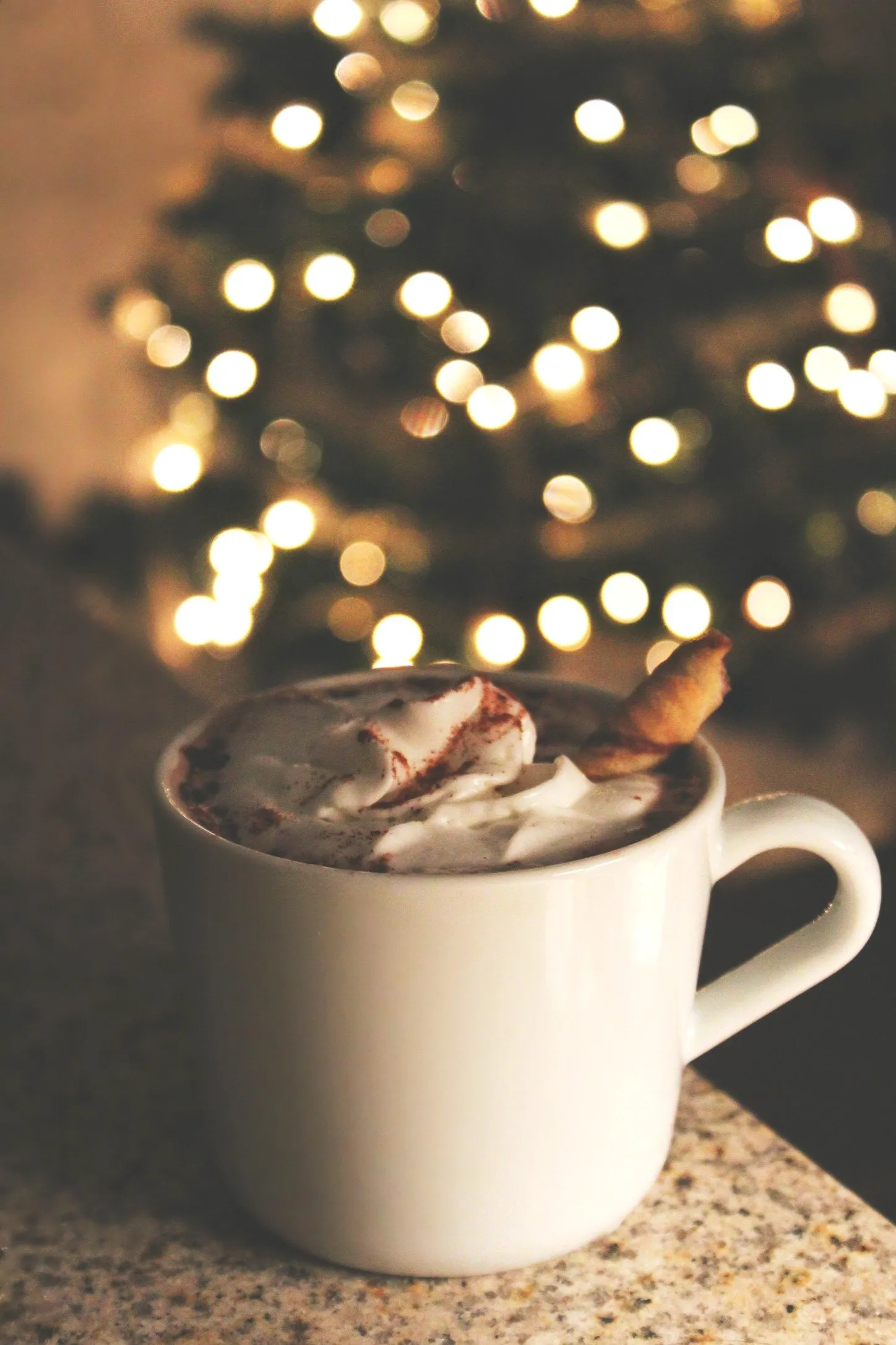 Light Eggnog Hot Cocoa