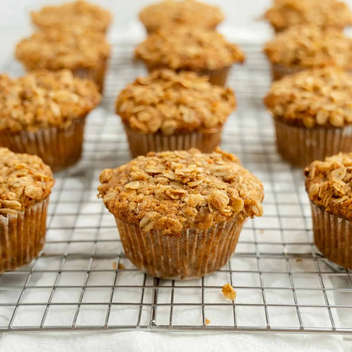 Light and Fluffy Applesauce Donut Muffins