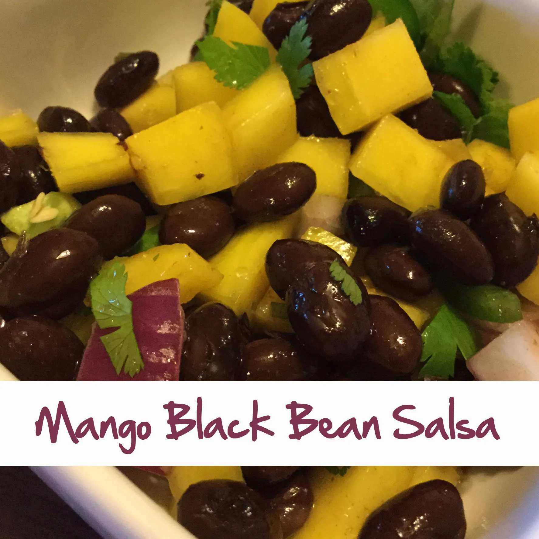 Mango Black Bean Salsa Normas