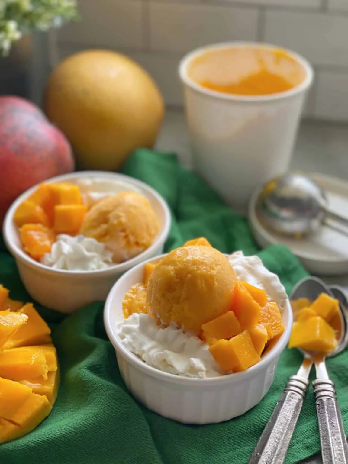 Mango Frozen Yogurt Sugar Free in a Blender
