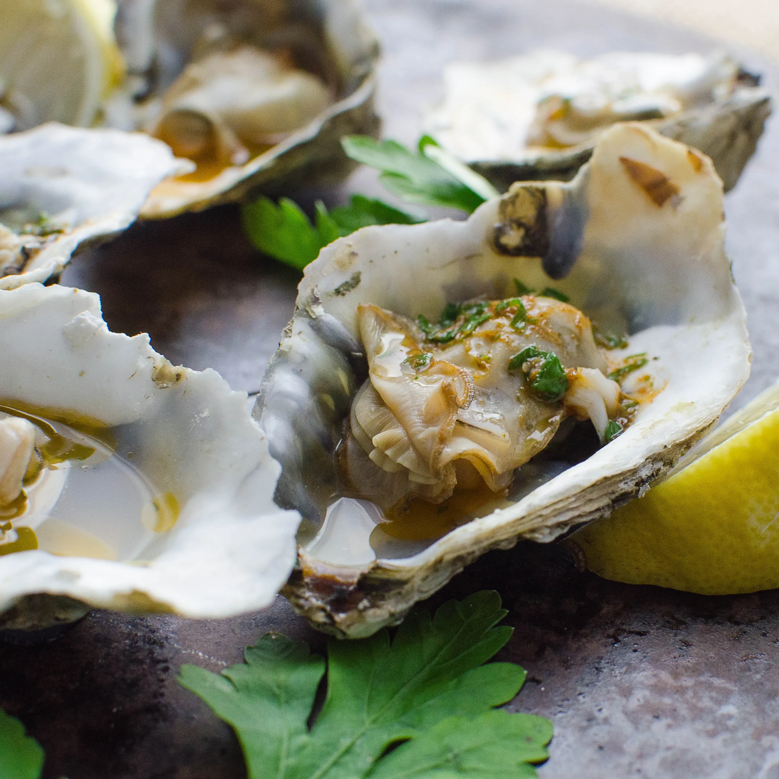 Mardi Gras Grilled Oysters