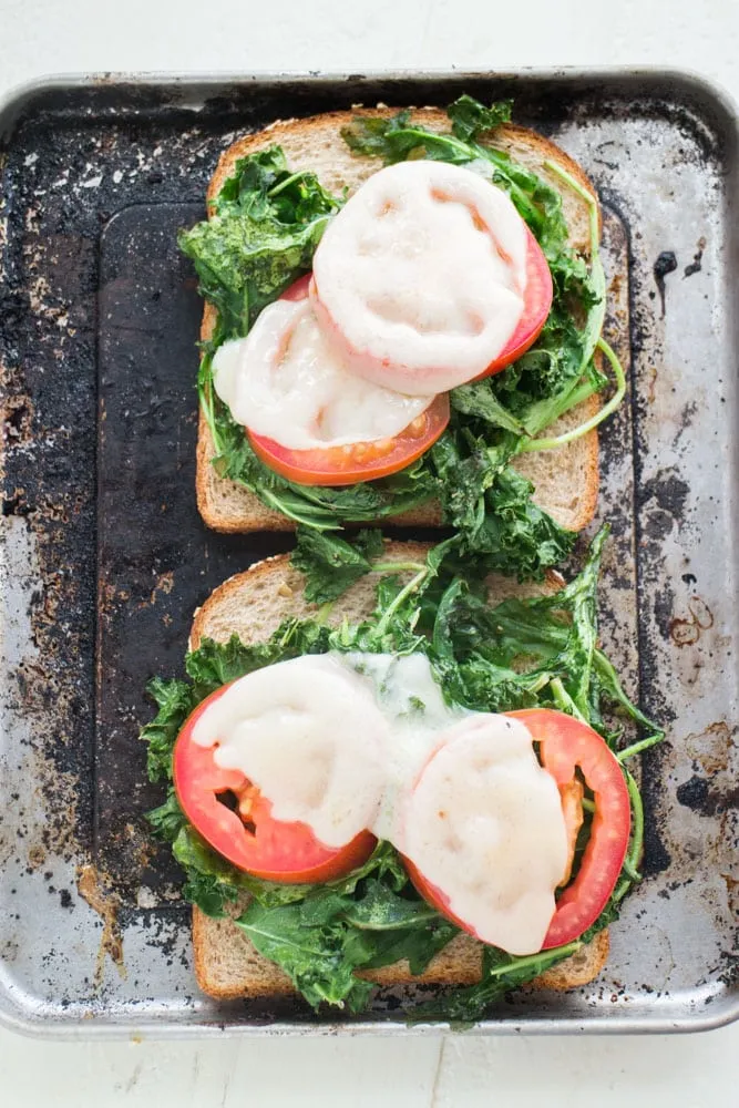 Melted Kale Arugula Cheese Sandwich