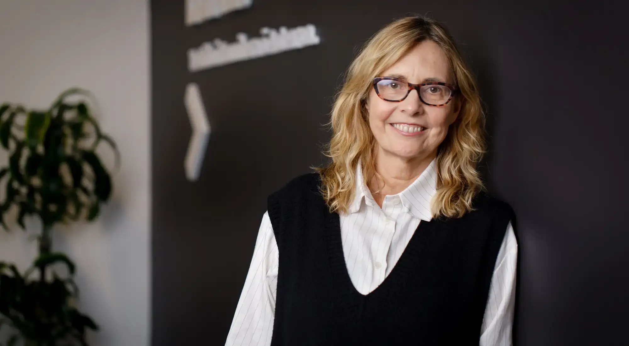 Mexican Rice Susan Freeman