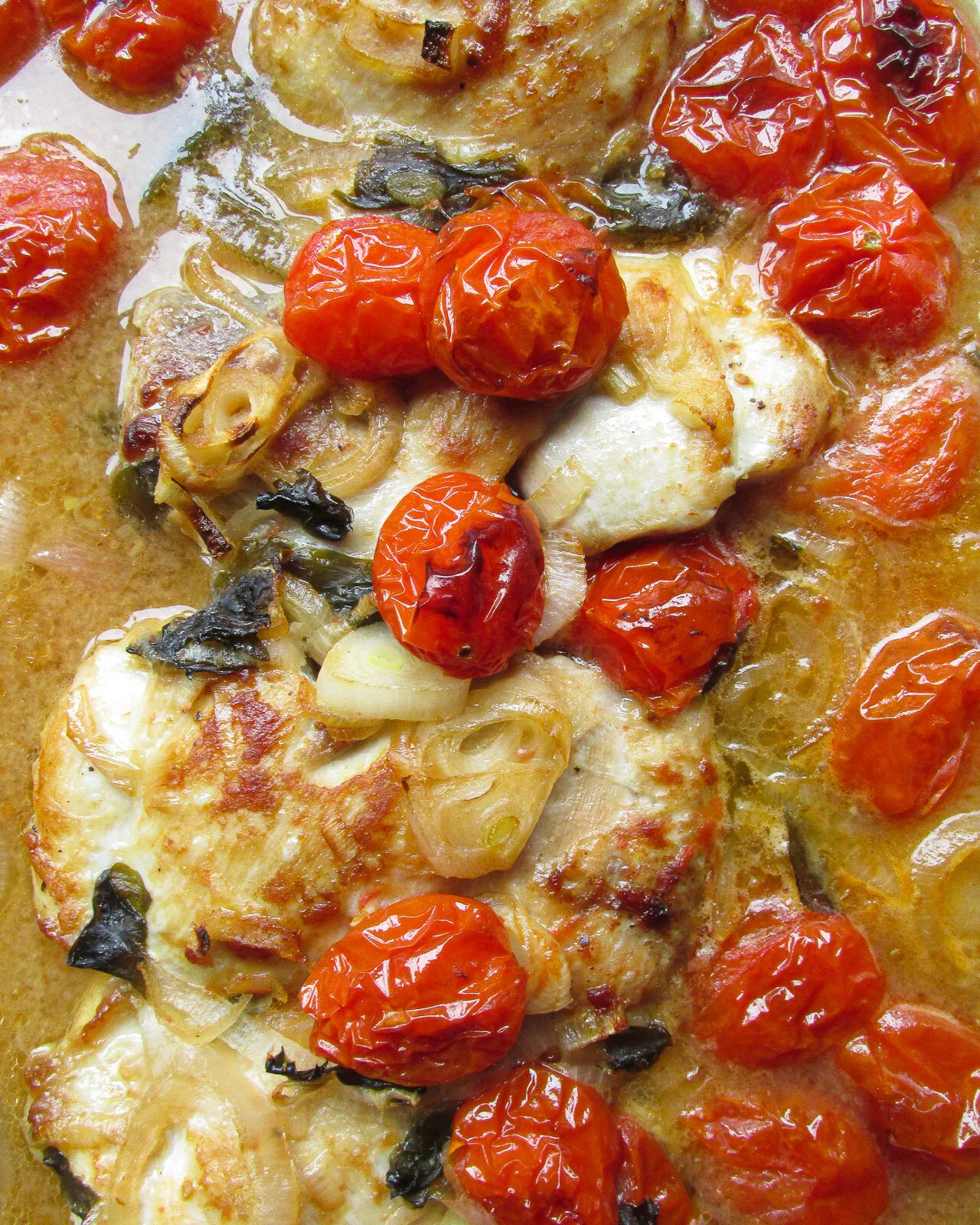 Miso Tomato Chicken Stew